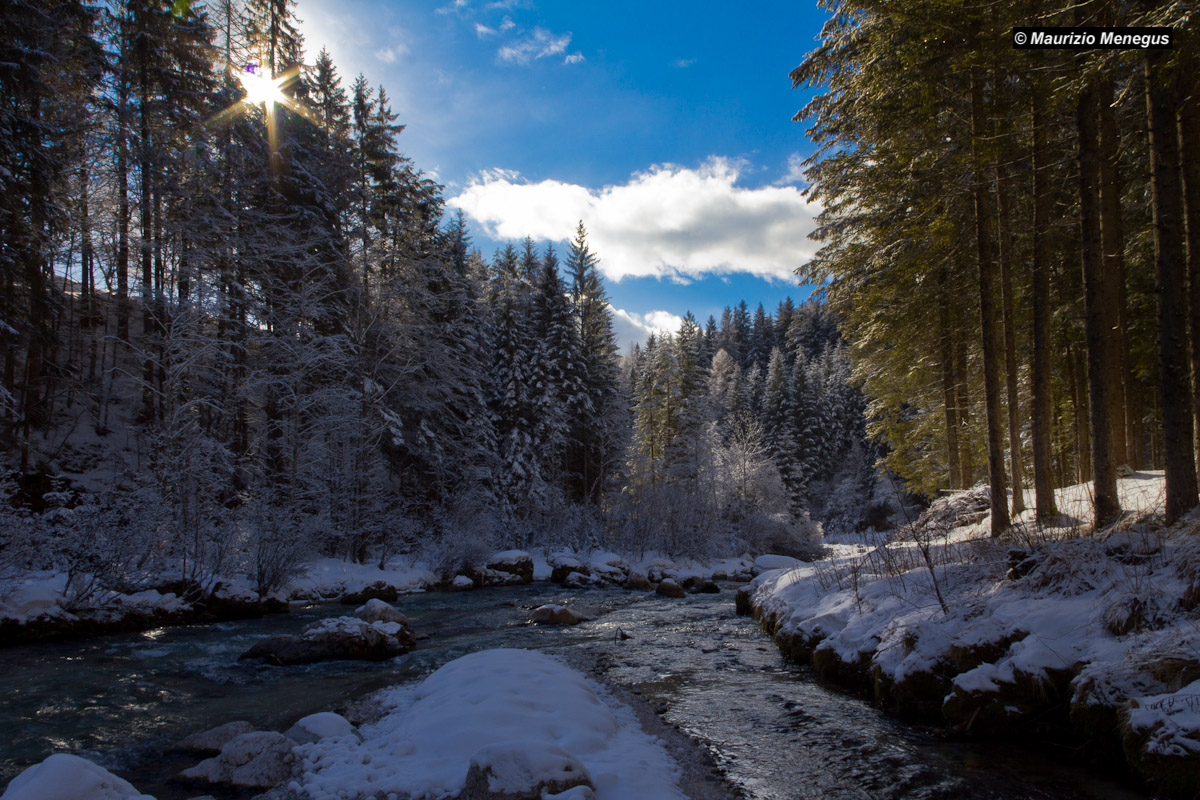 Glimpses on the Boite - Dolomites stream