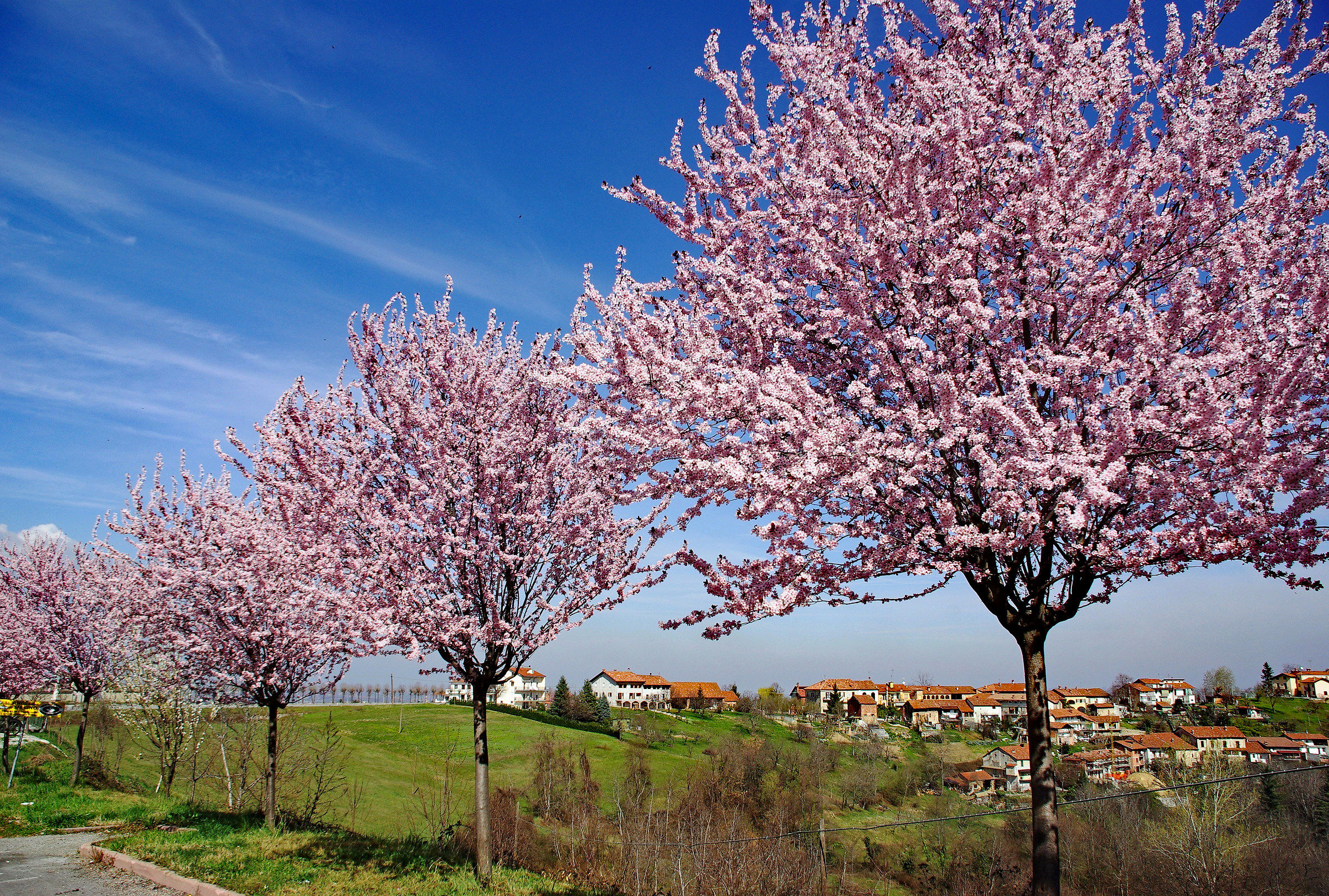 Primavera a Braglia (Cuneo)