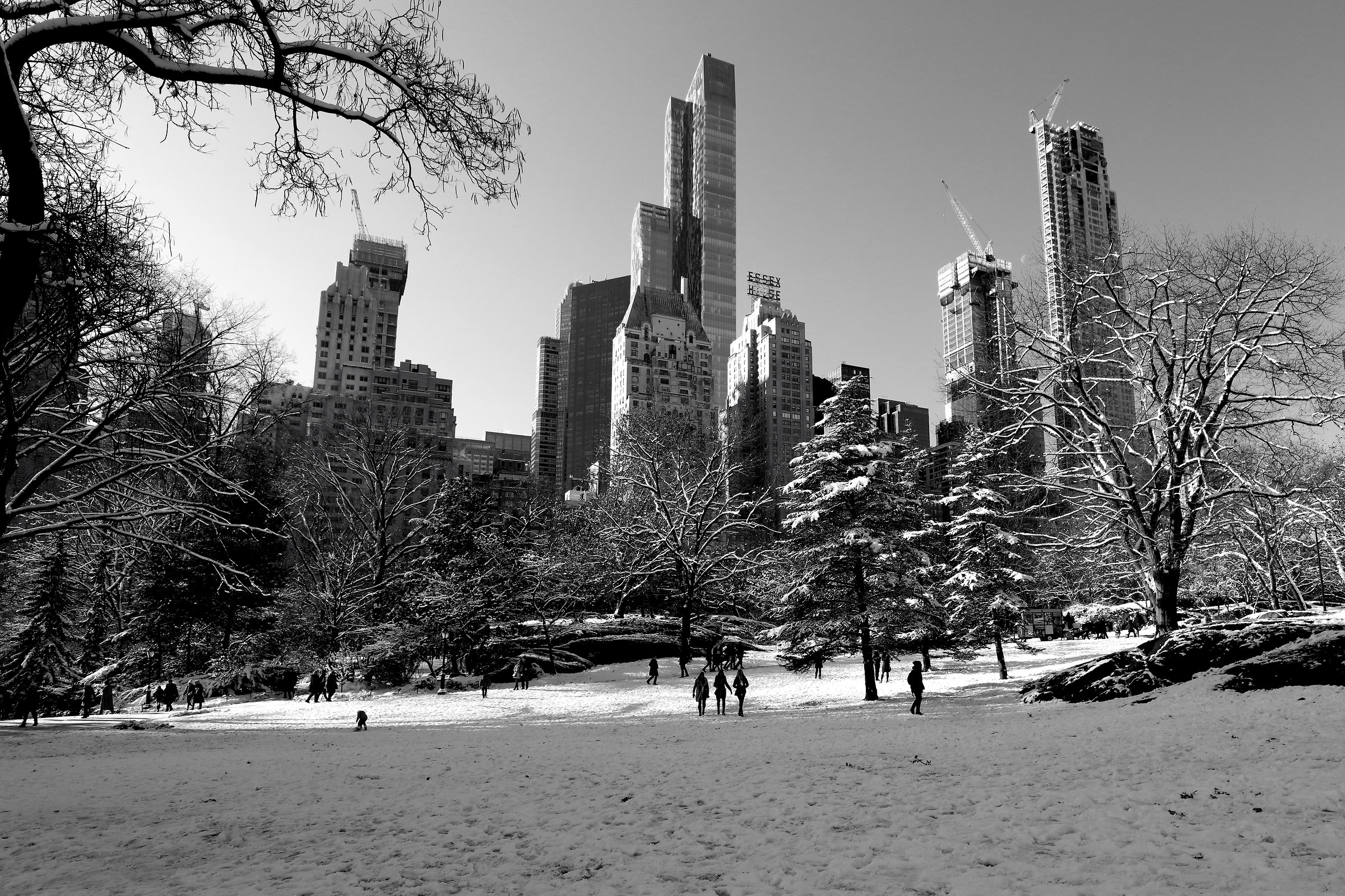 Central Park 4