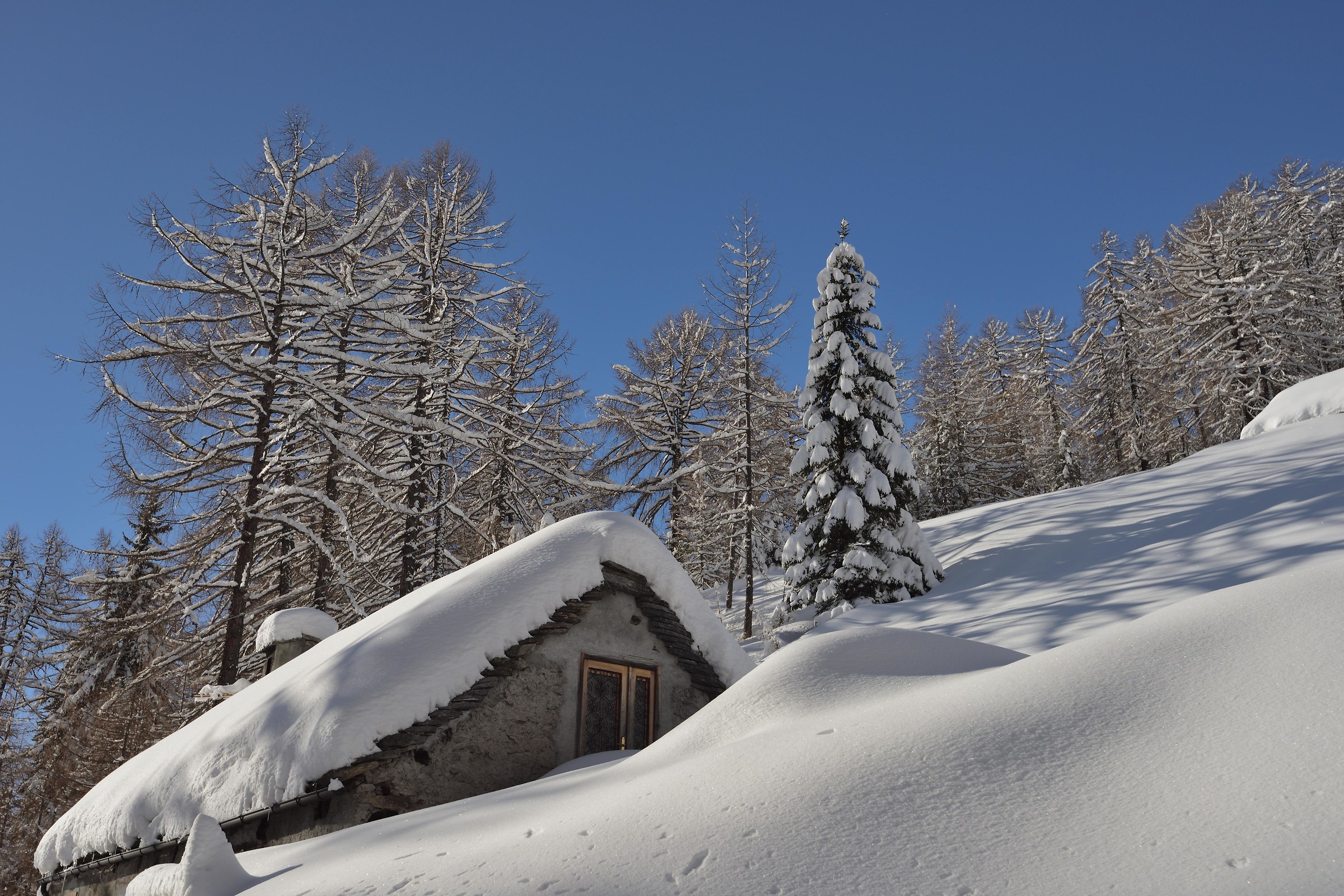 I try to continue on the shelter