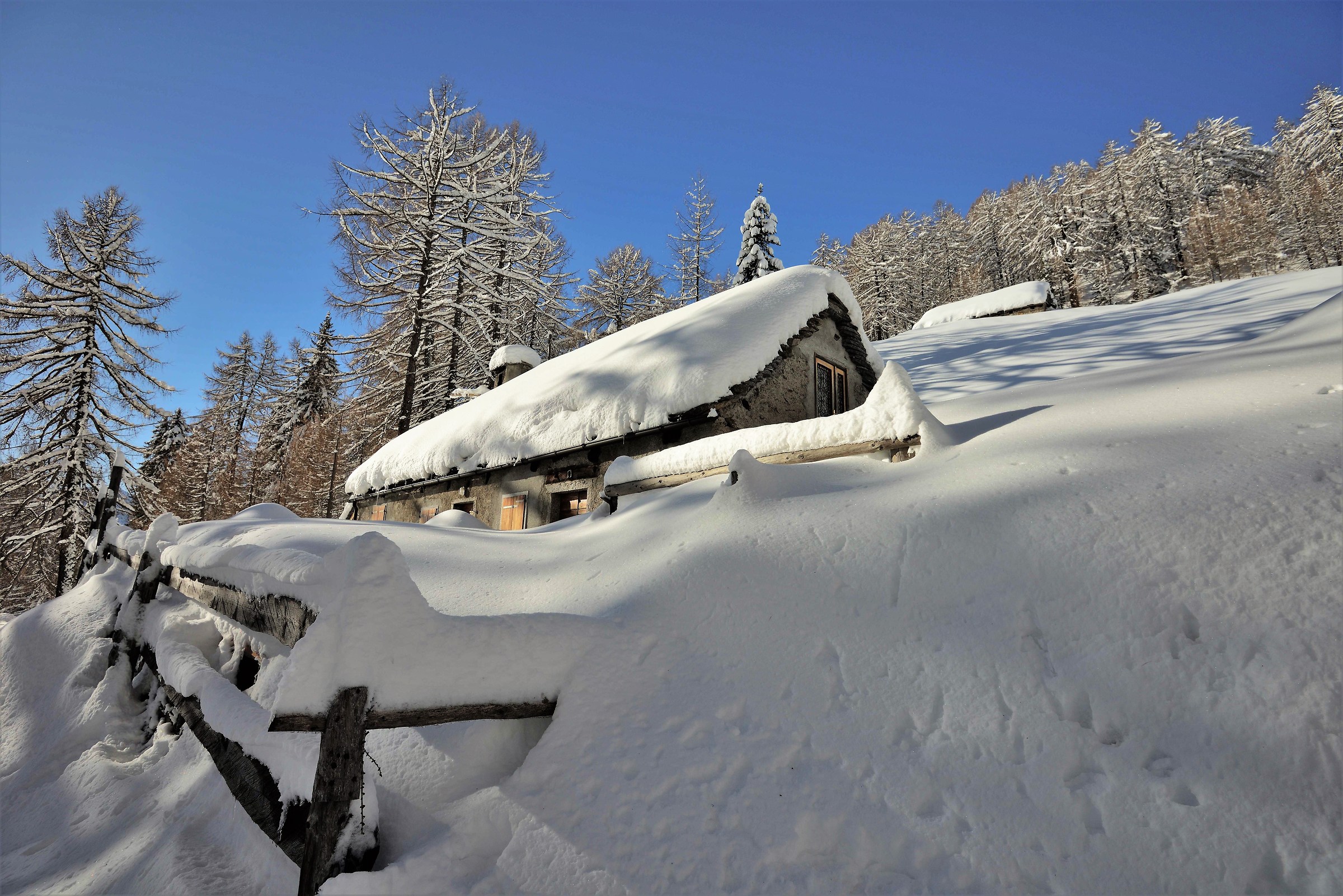 beautiful cabin nestled in the snow just above the shelter