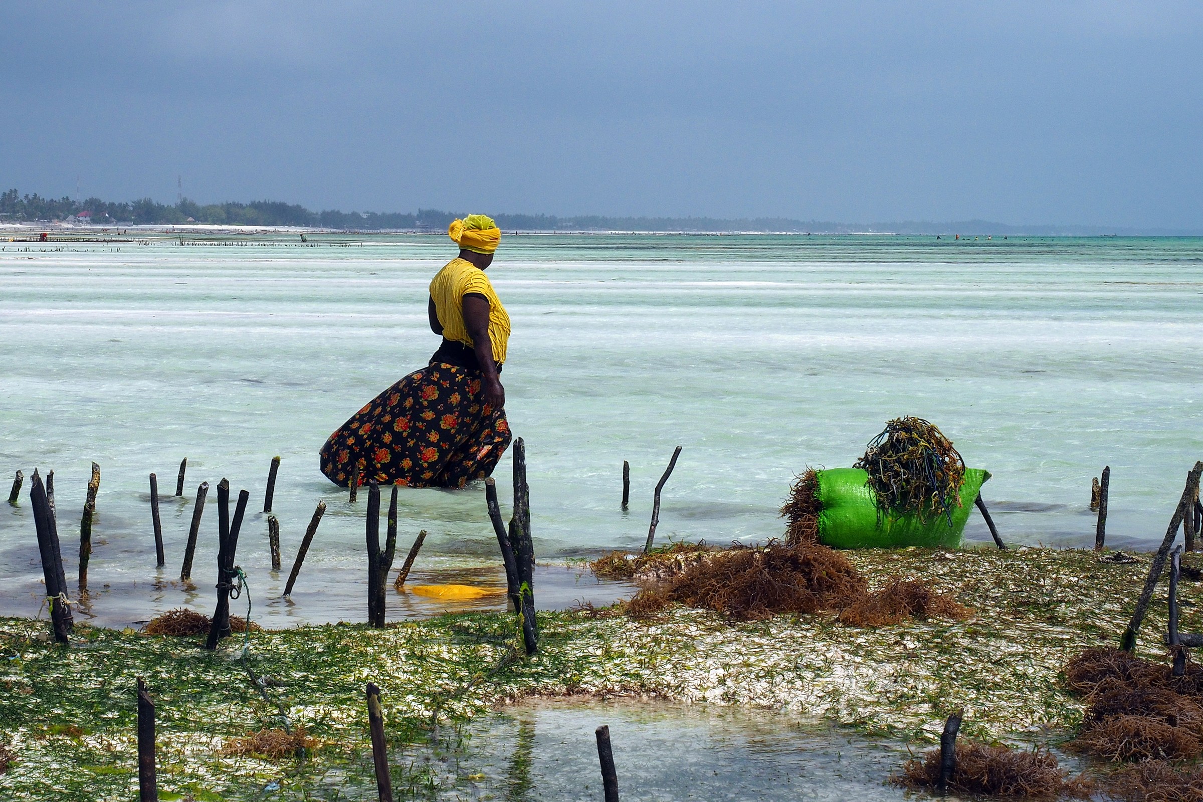 The tide at Jambiani (Zanzibar)