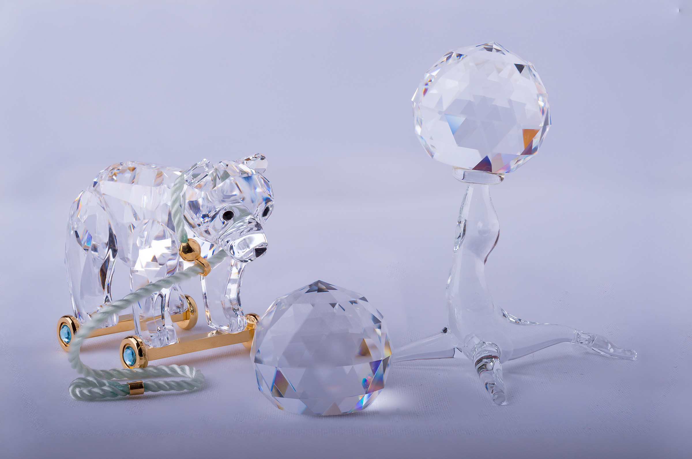 the Bear and the Seal