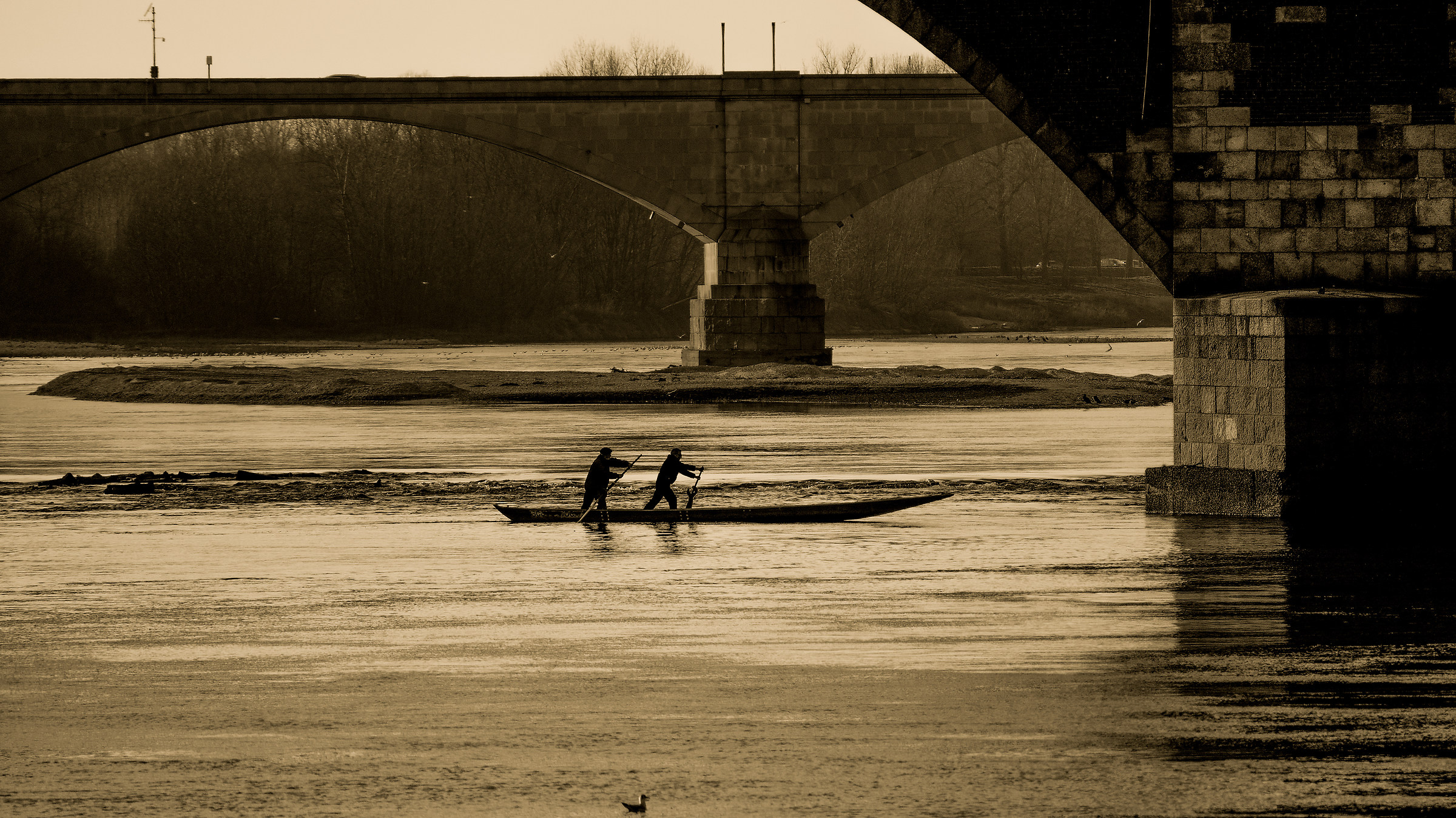 As before, if there was no seagull