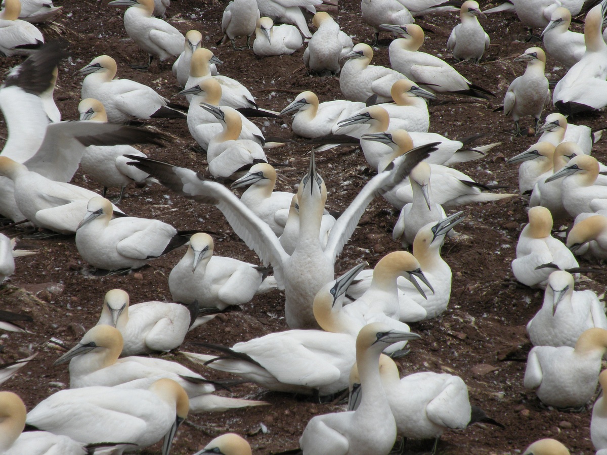 Happy to have found my nest