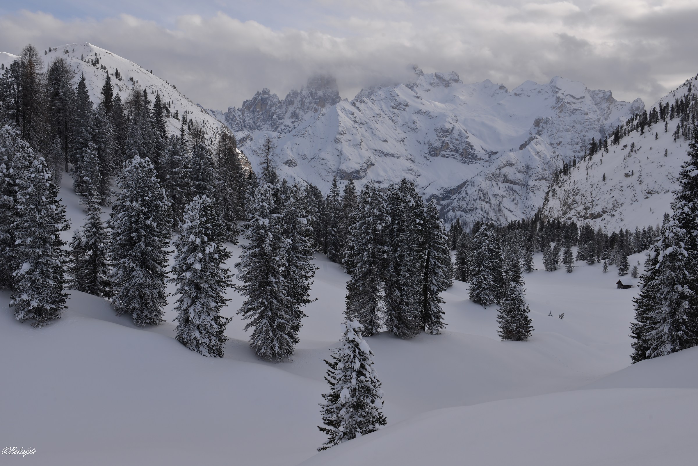 Prato Piazza - Plätzwiese