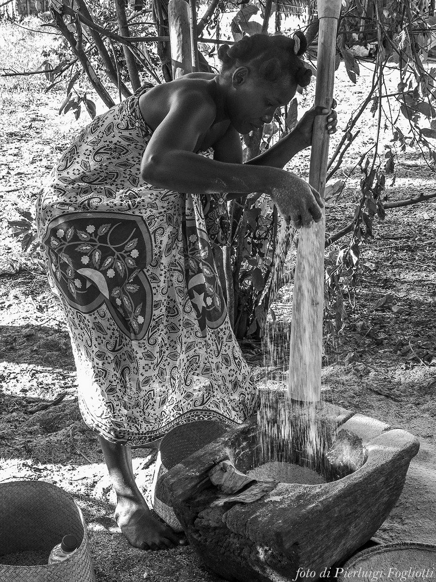 Beating rice to great Mitsio