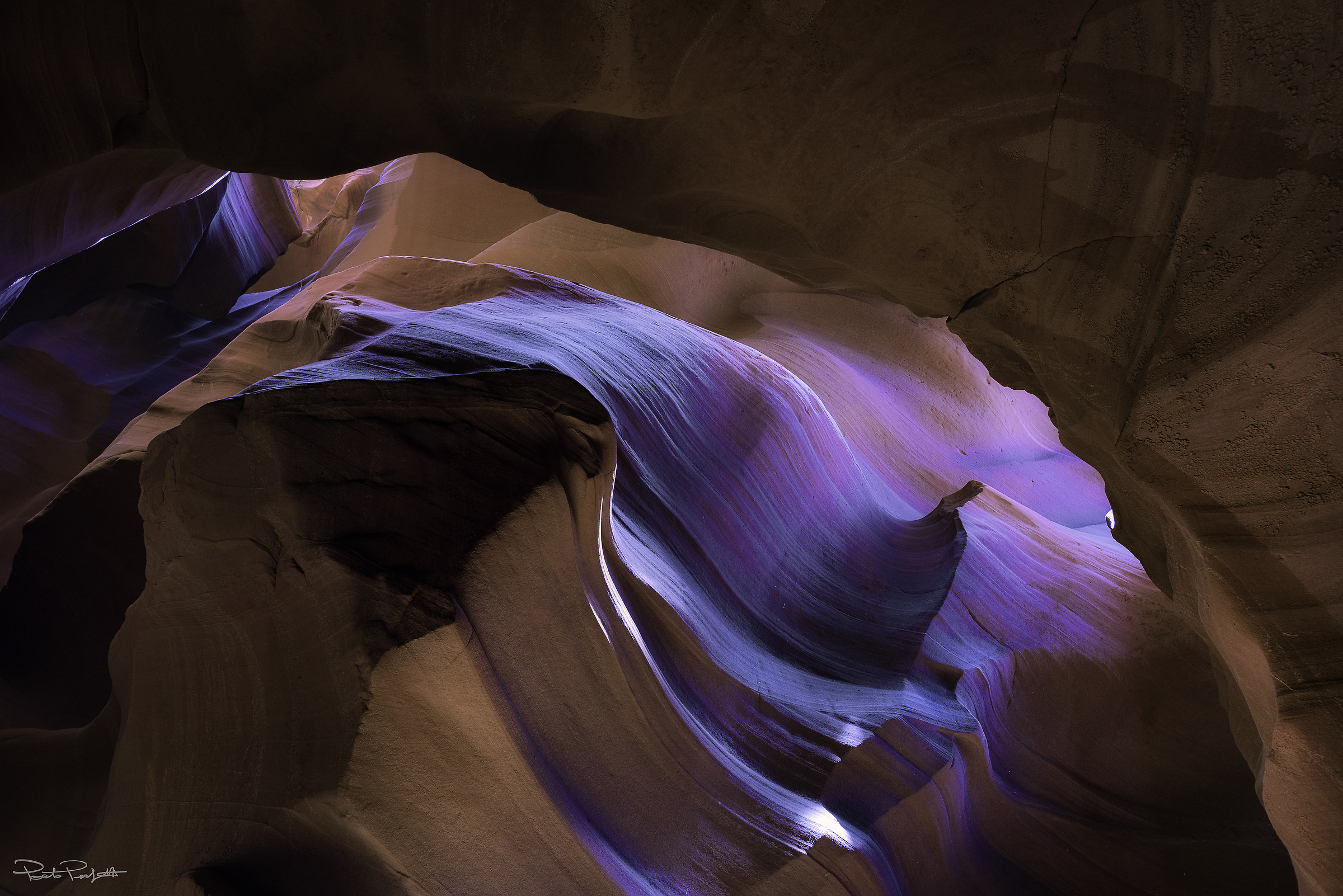 Antelope purple light