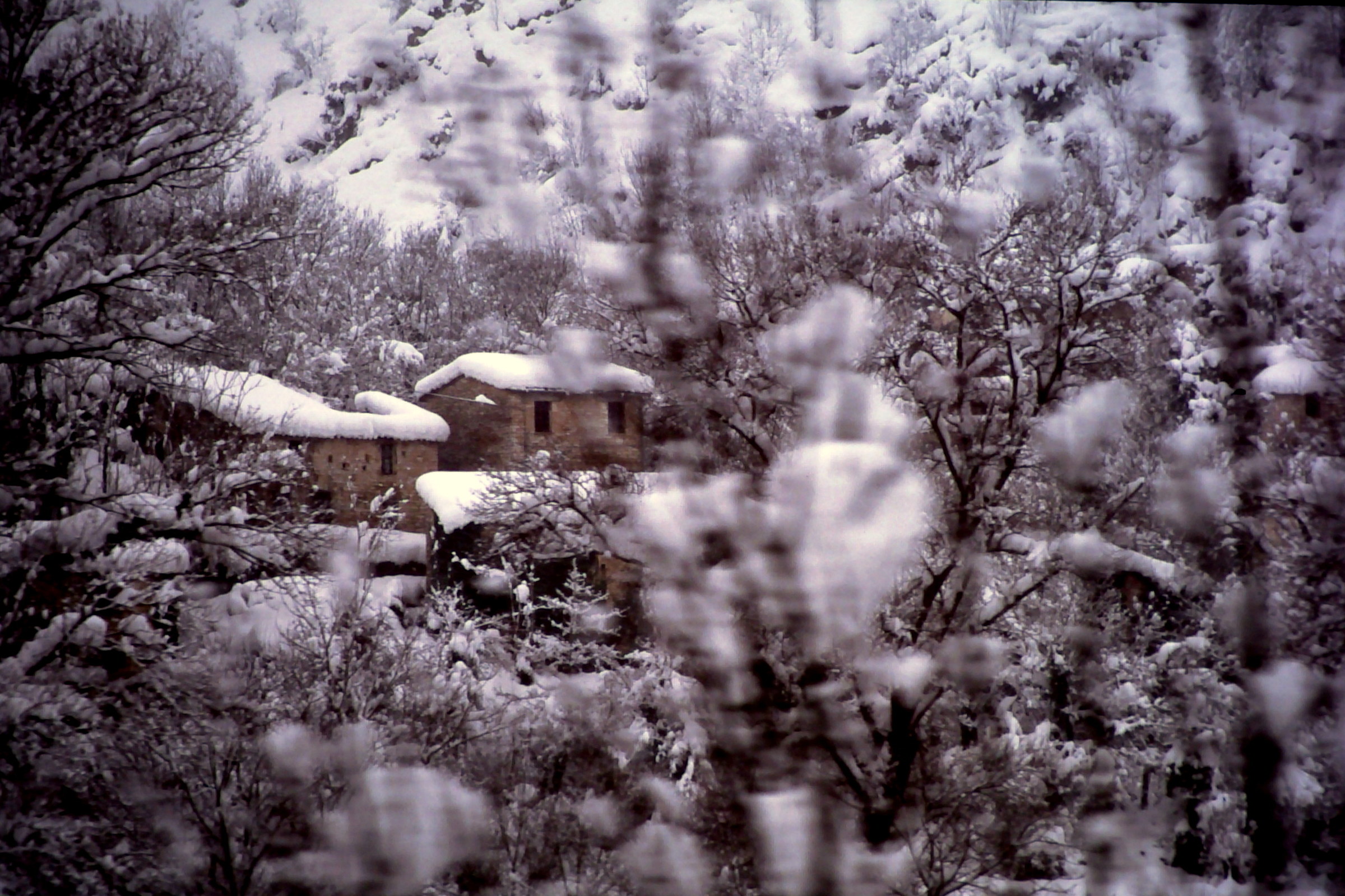 Un inverno di qualche anno fa ...