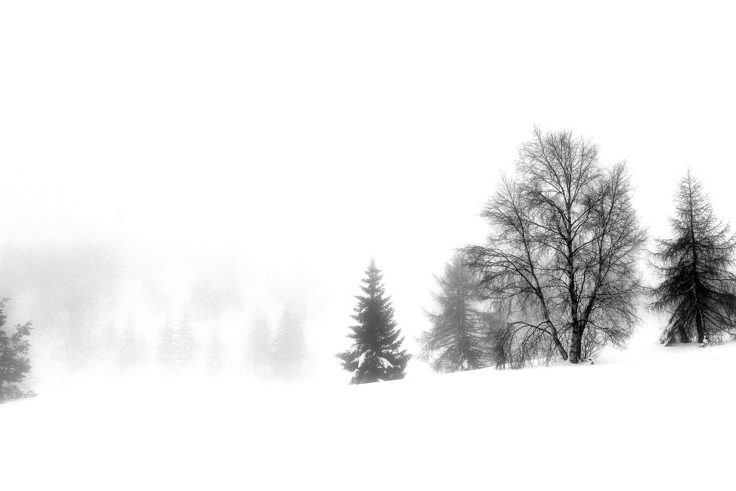 Adamello Brenta National Park