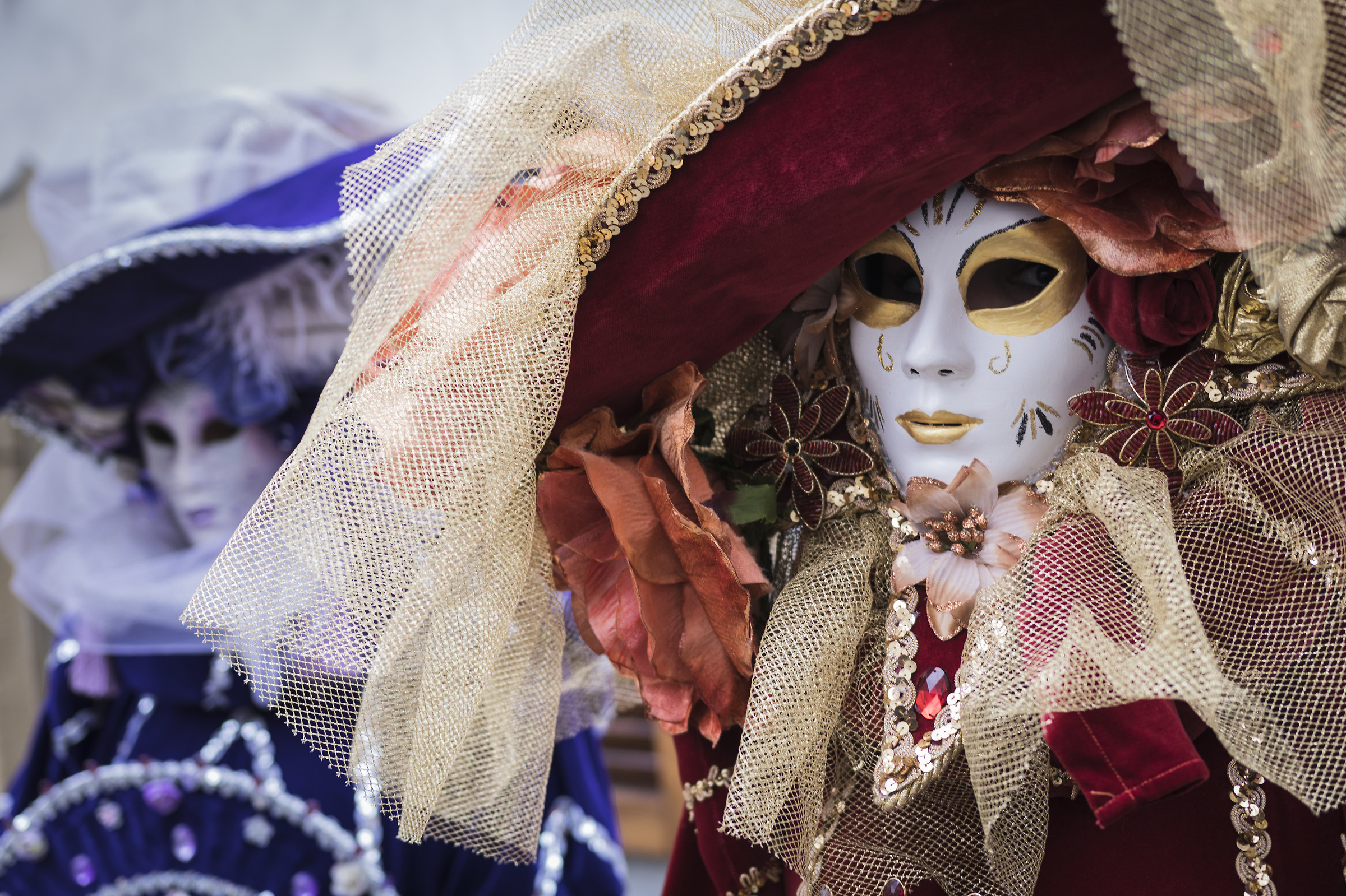 Intrigue of the Cortigiane