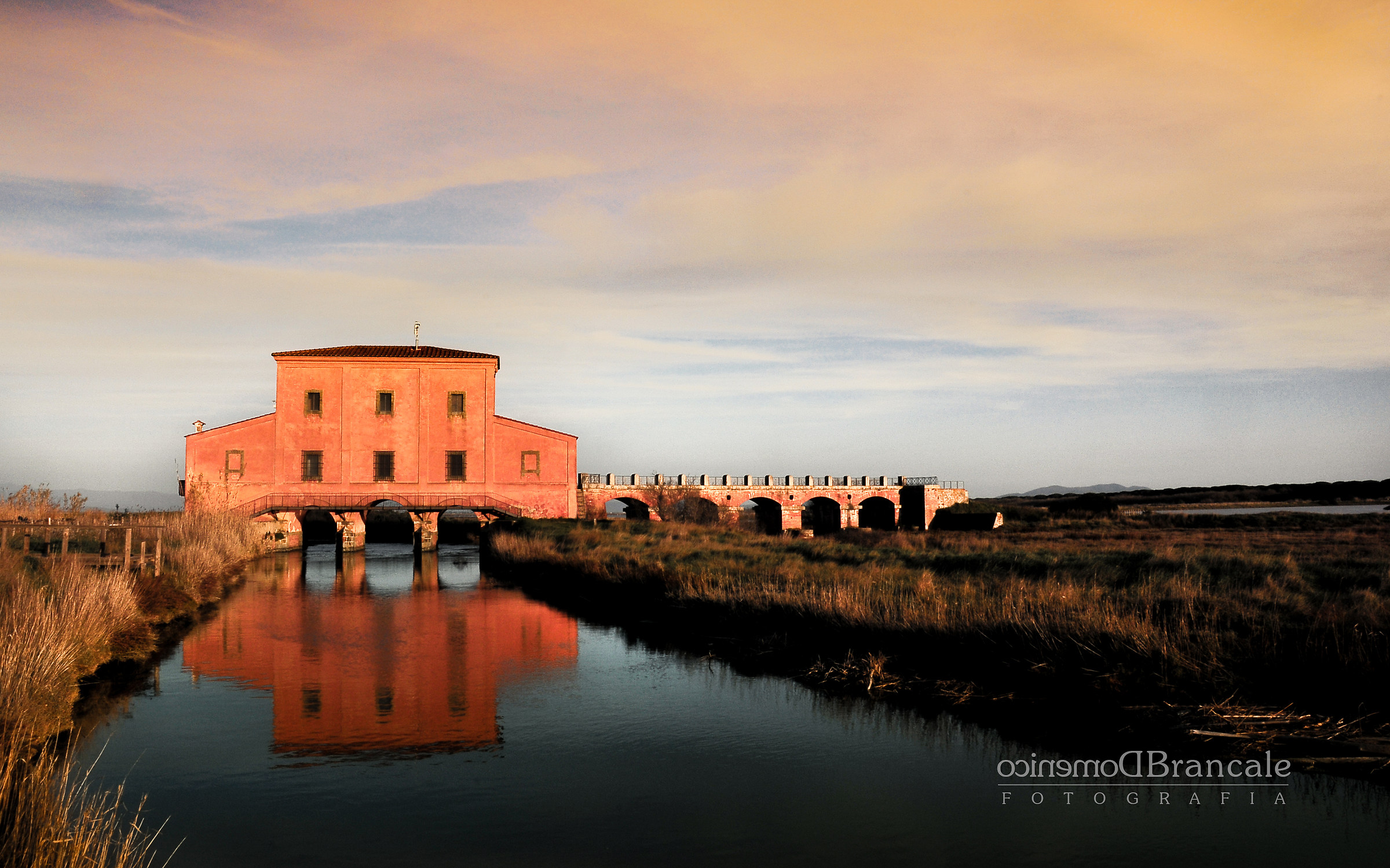 Diaccia Botrona nature reserve