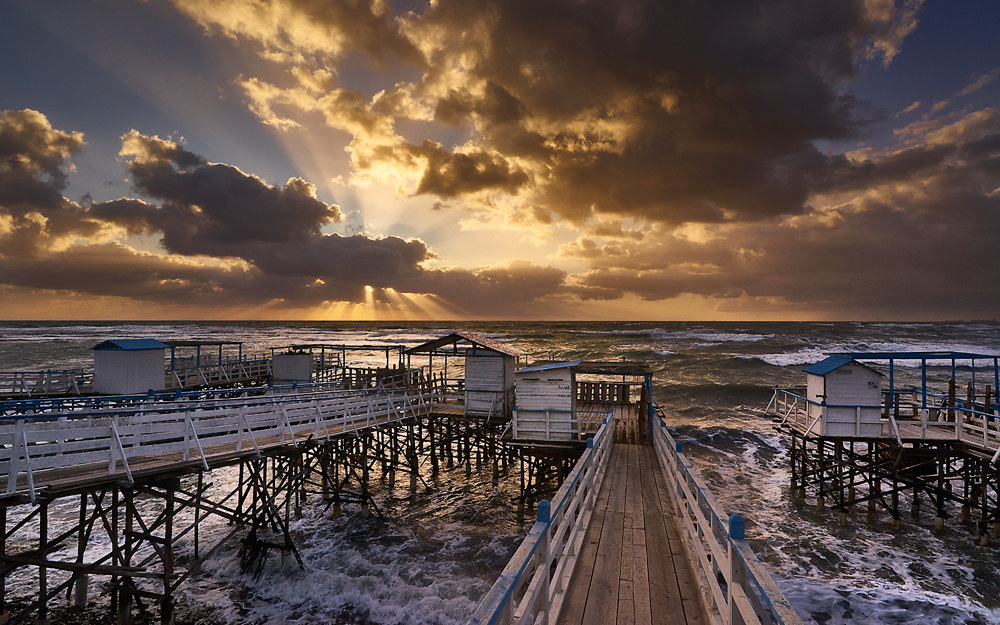 Golden Sunset
