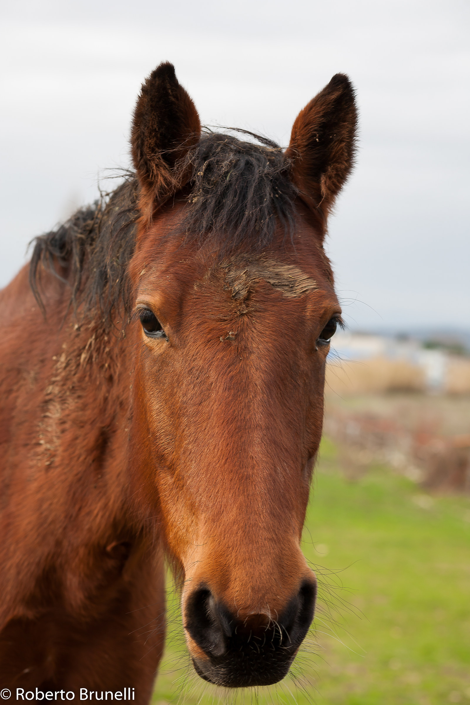 The usual friends of lunch break II