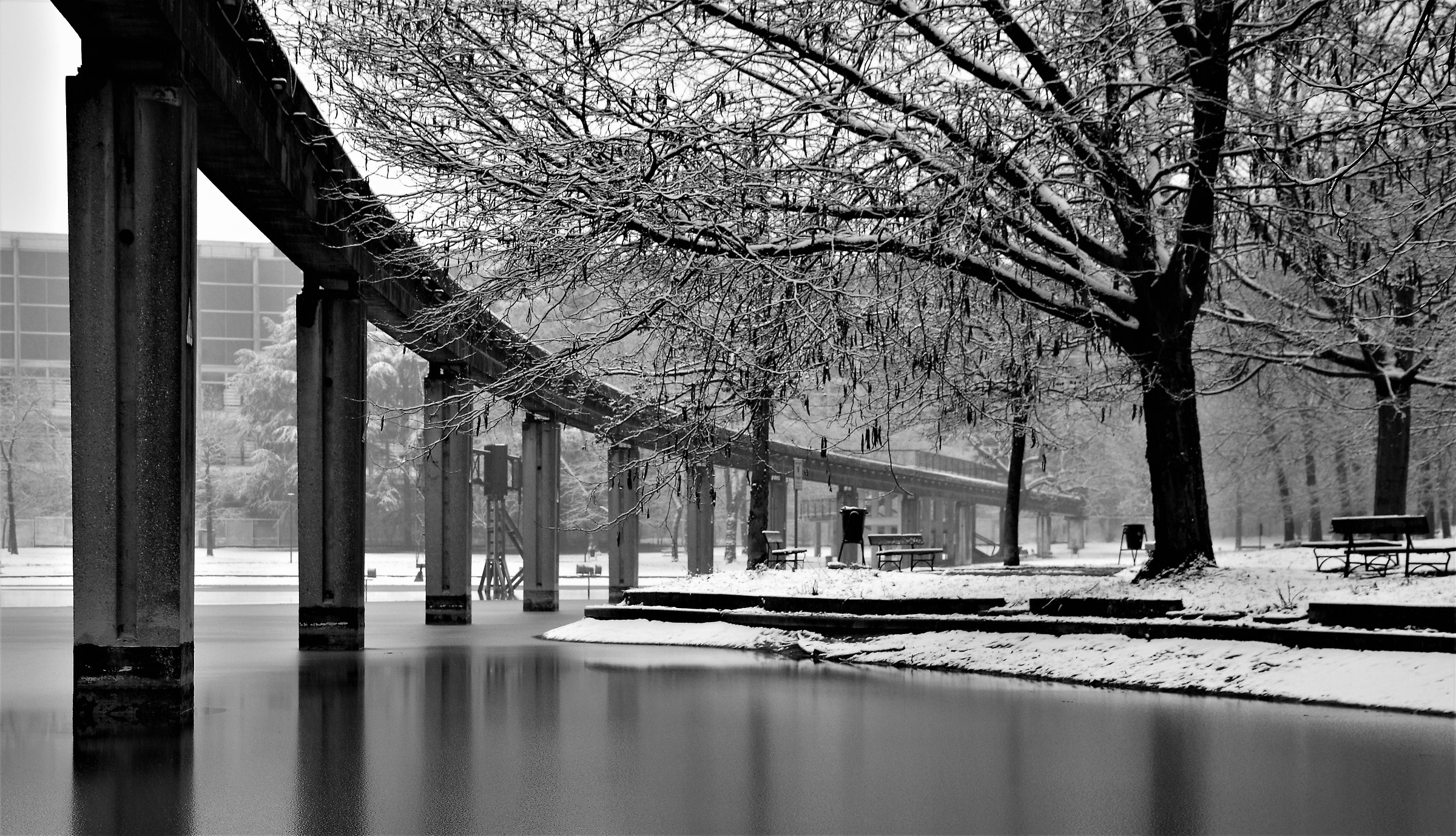 Neve su Torino...Parco Italia 61