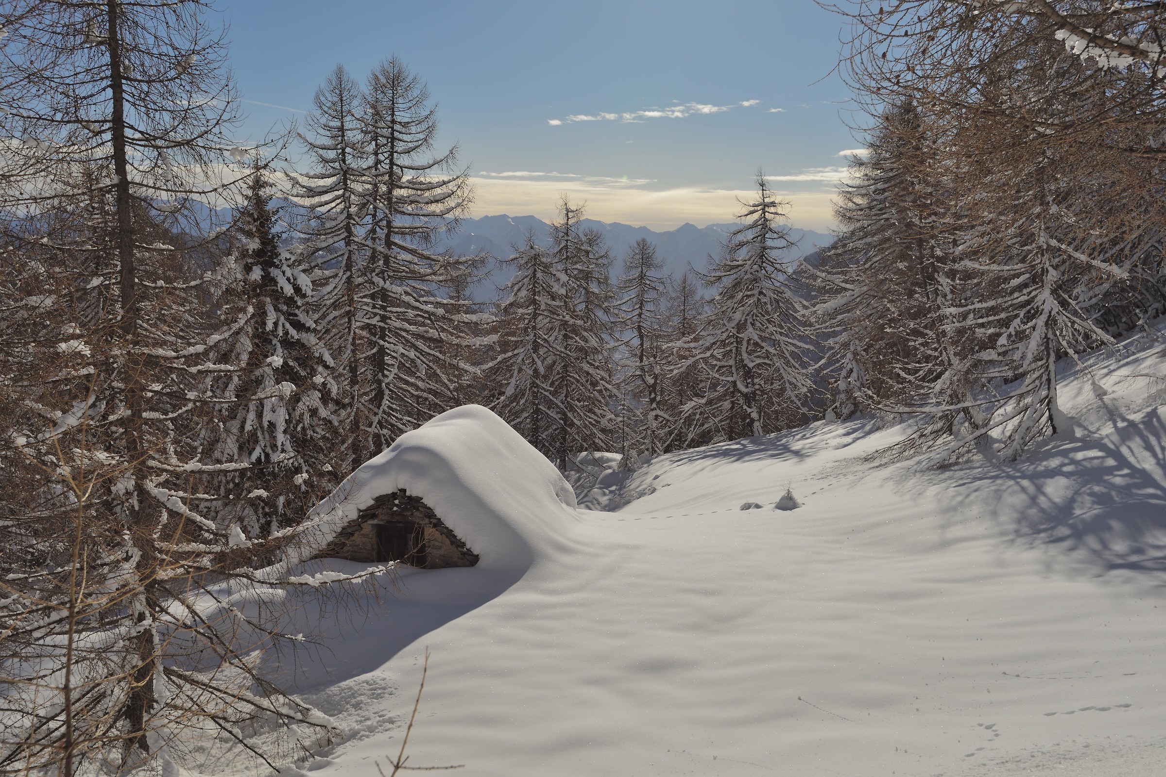 I was struggling to continue through the heavy snow