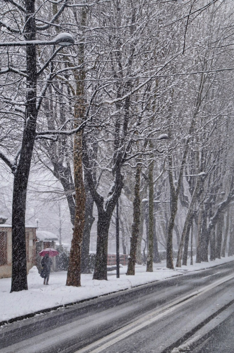 Passeggiata sul Viale degli Angeli