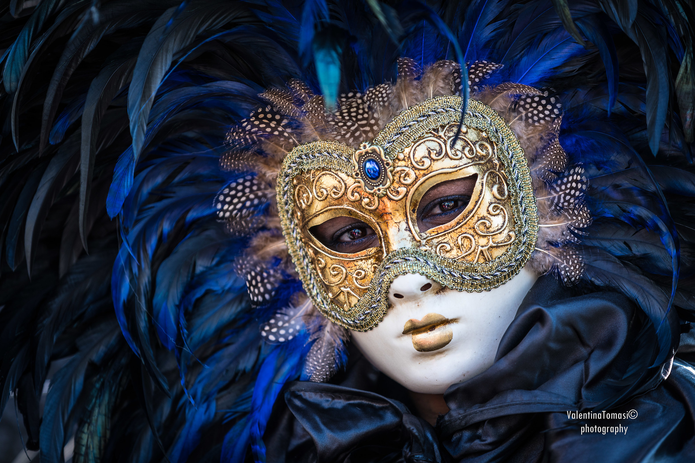Venice Carnival