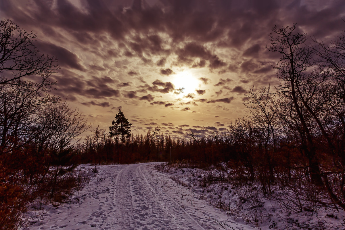 Winter evening in Harz landscape
