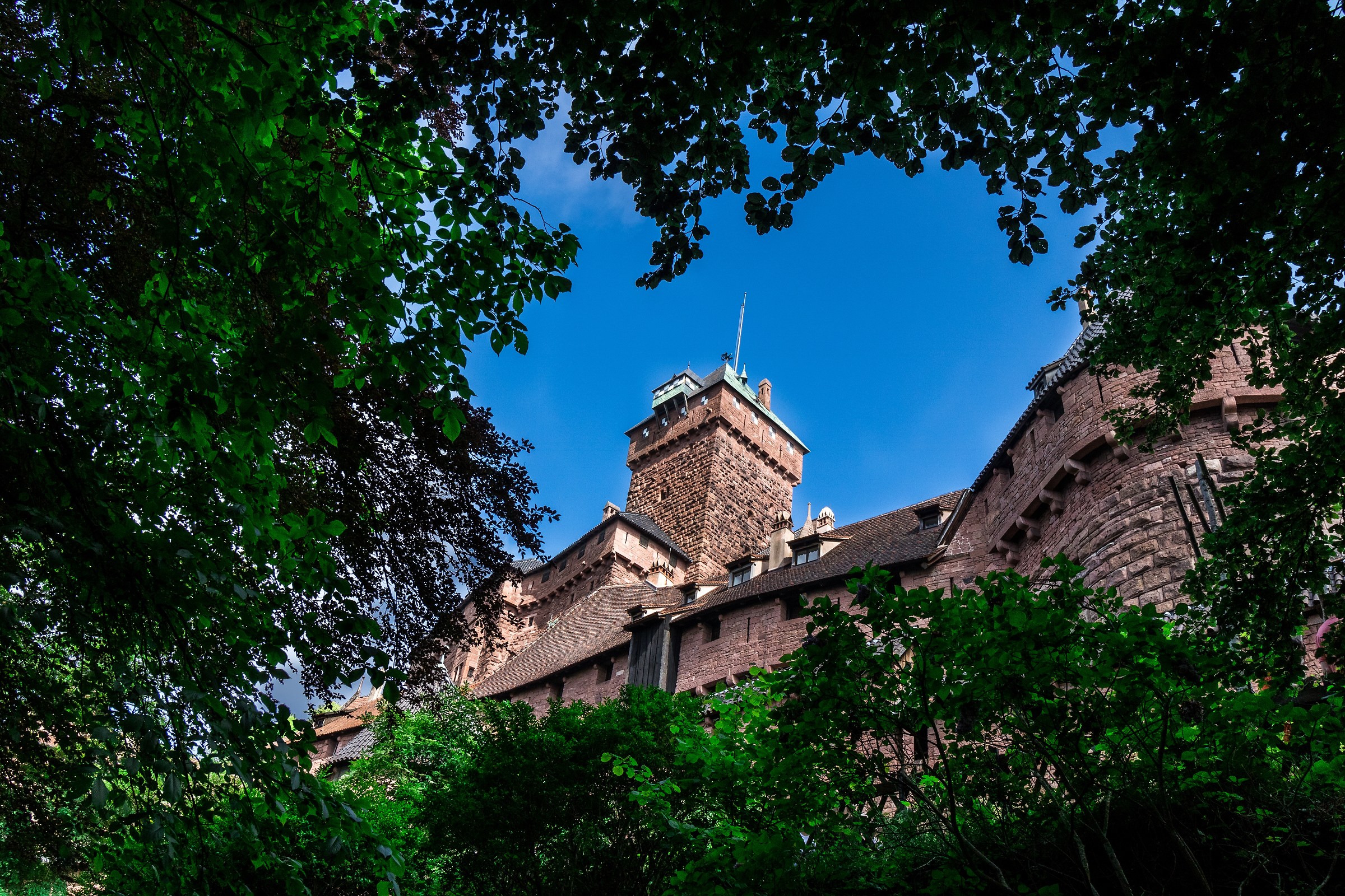 Castello di Haut-Koenigsbourg