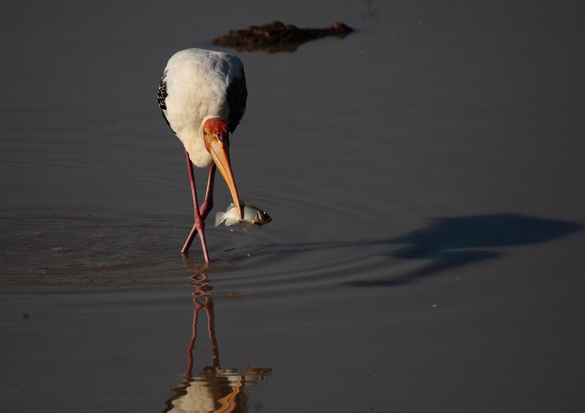 3 D vita, pericolo incombente intorno