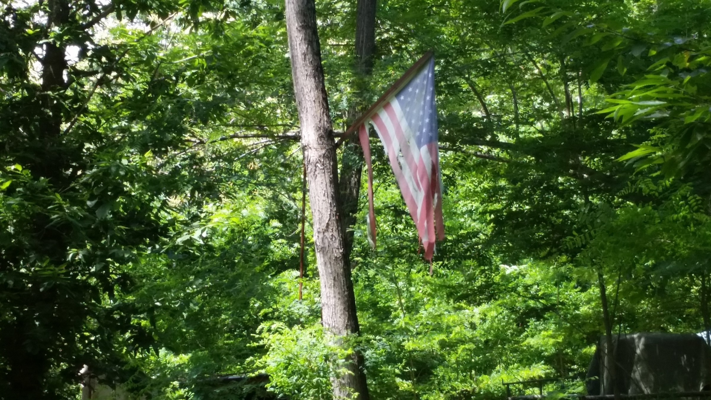 Stars stripes .. and rags