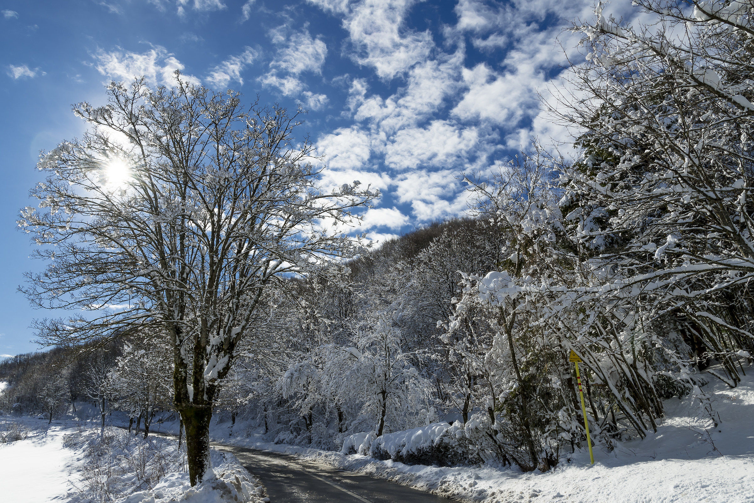 La splendida campagna Mugellana.