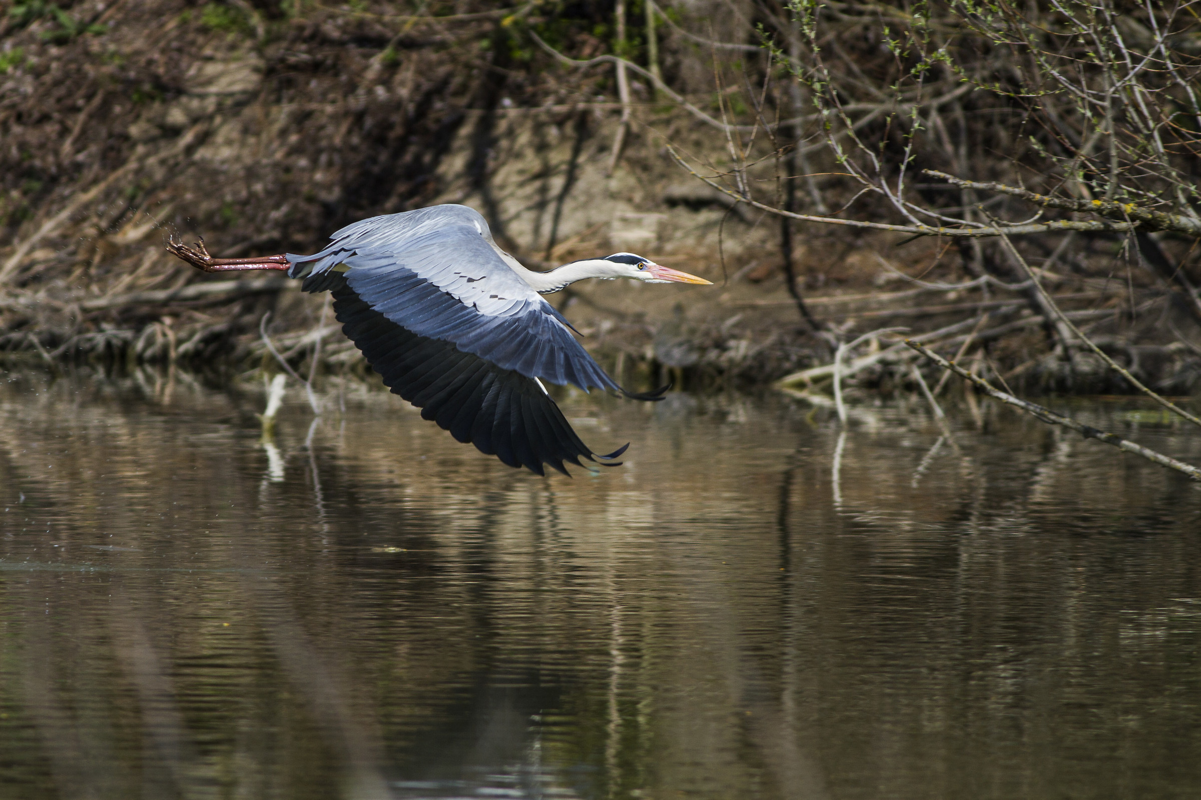 passaggio ravvicinato Torrile - PR
