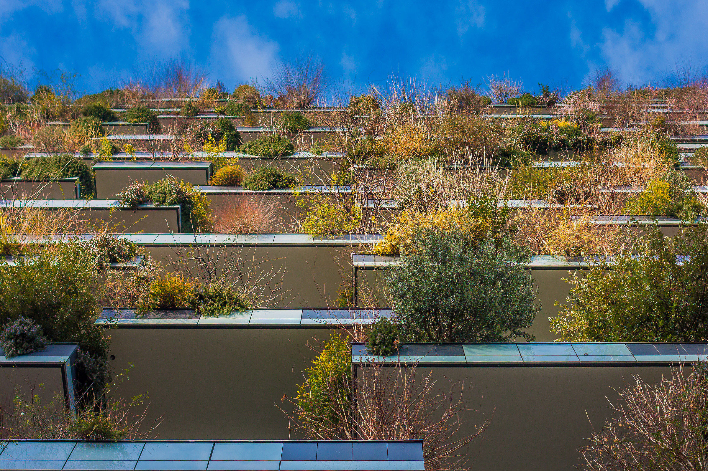 Milano bosco verticale