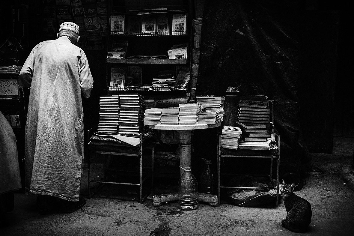 Il librario e il gatto