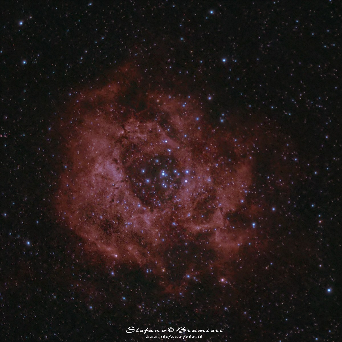 Rosette Nebula