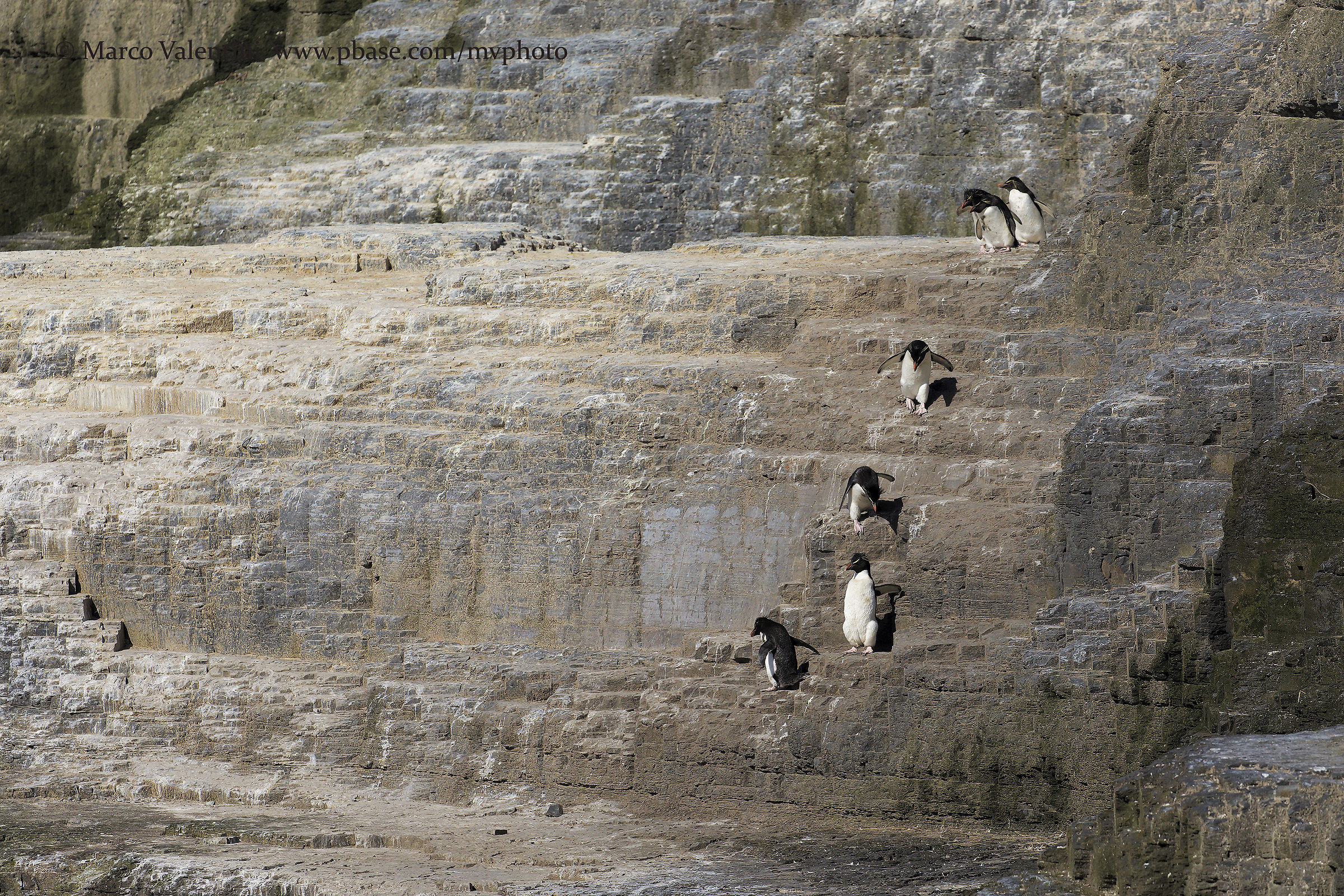 The world is made up of stairs