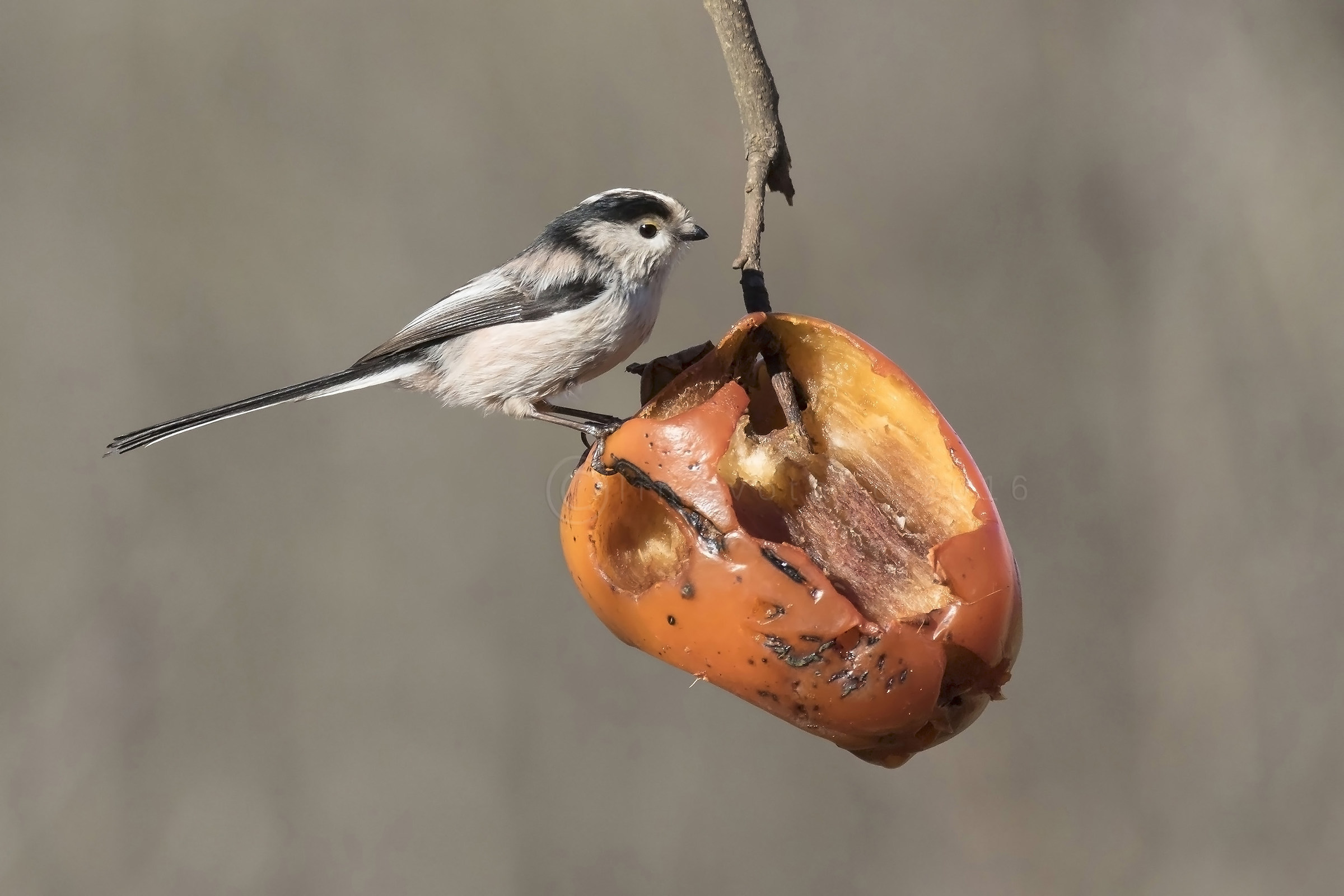 ......sei tutto mio.....
