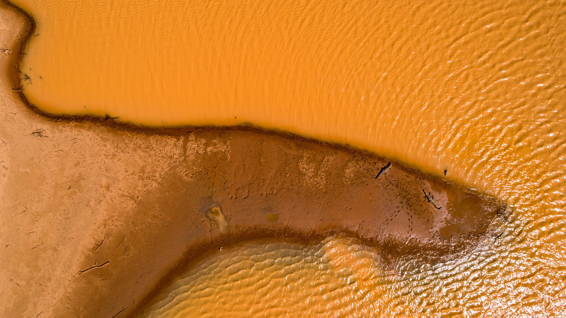 la piscina oscura dei coccodrilli del deserto