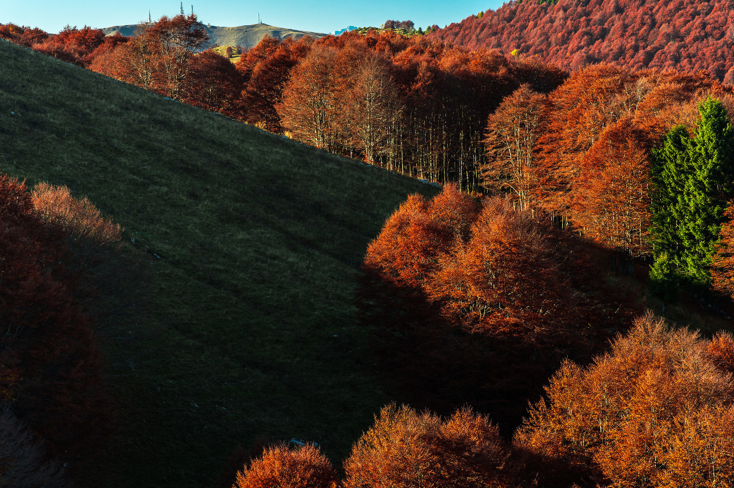 Tra luce ed ombra...