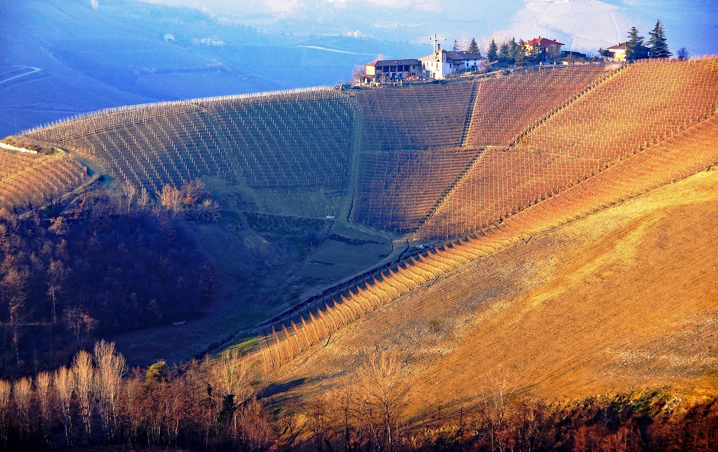 Langhe in inverno (Piemonte)
