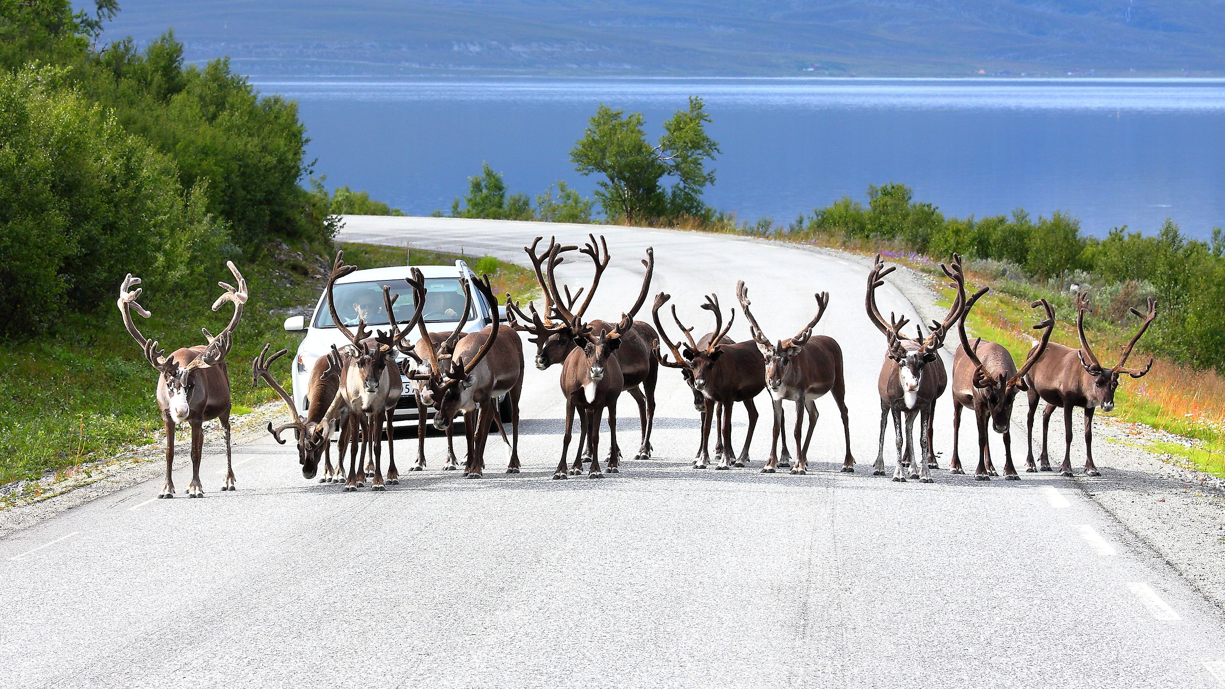 And now you'll have to see it with us!