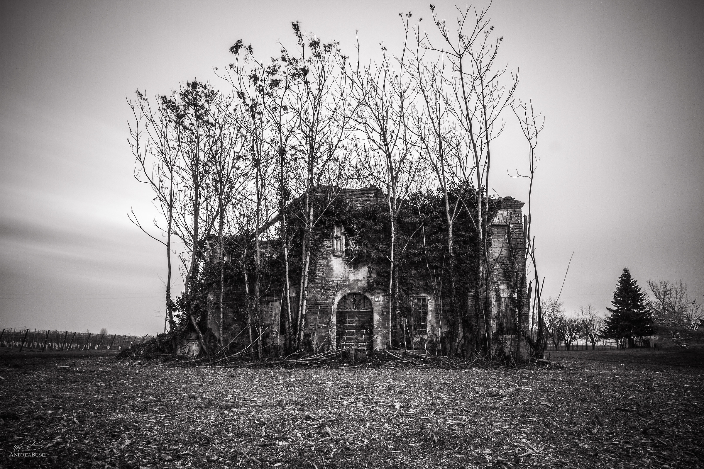 Il sostegno della natura