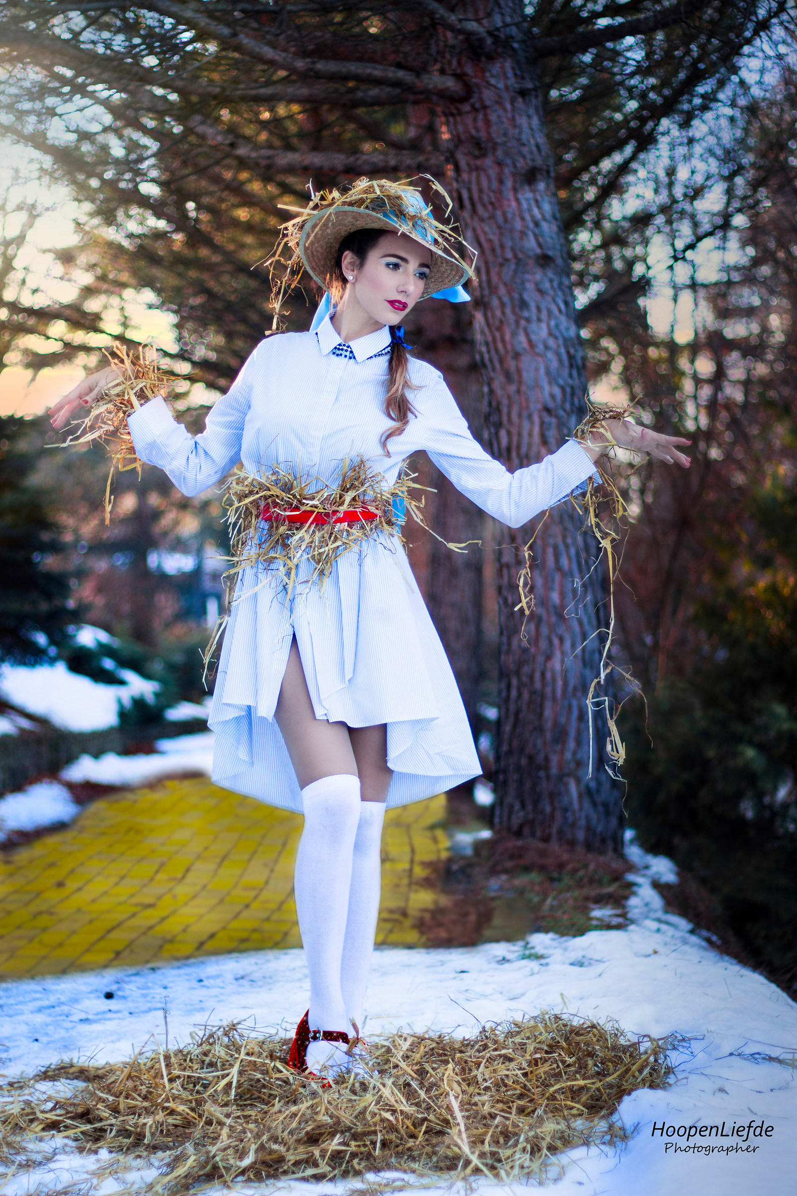 il mago di Oz : lo spaventapasseri