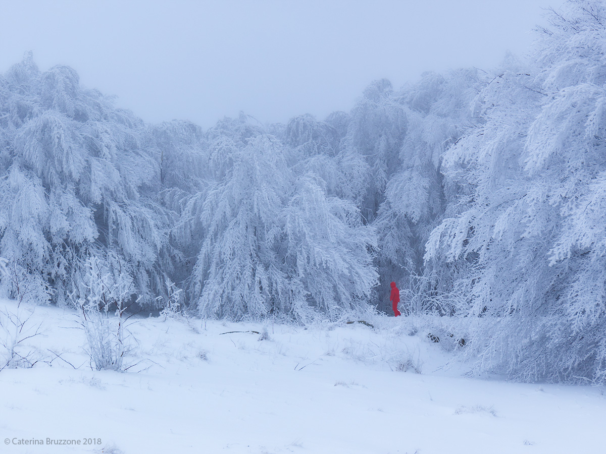Red Cappucetto winter version