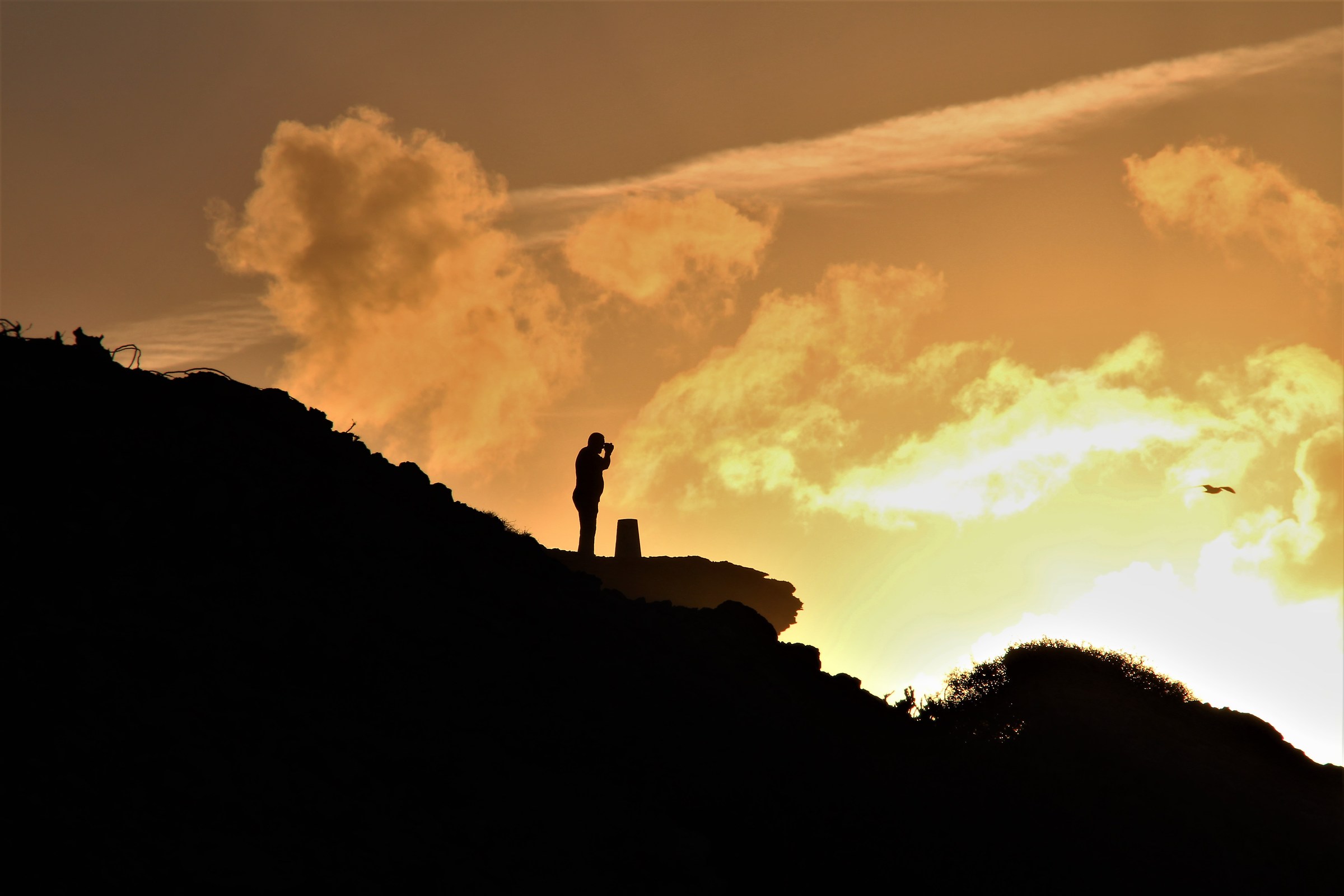 Ode to the photographer