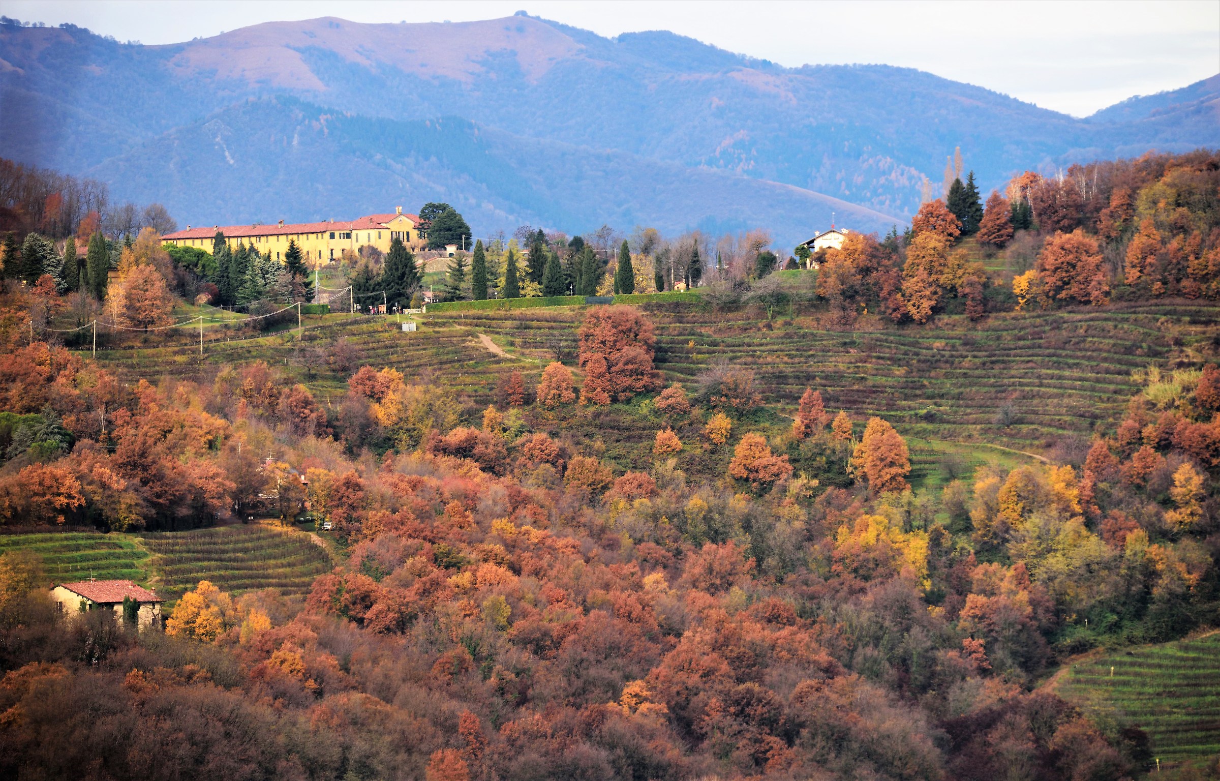 autumn from Montevecchia
