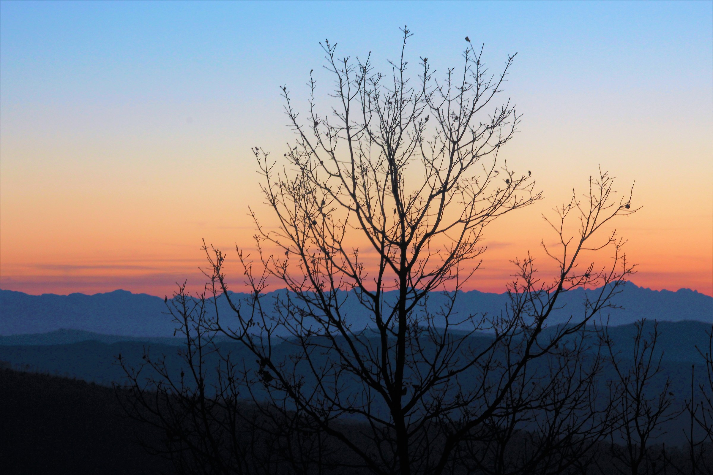 From the Asti Langa 2018