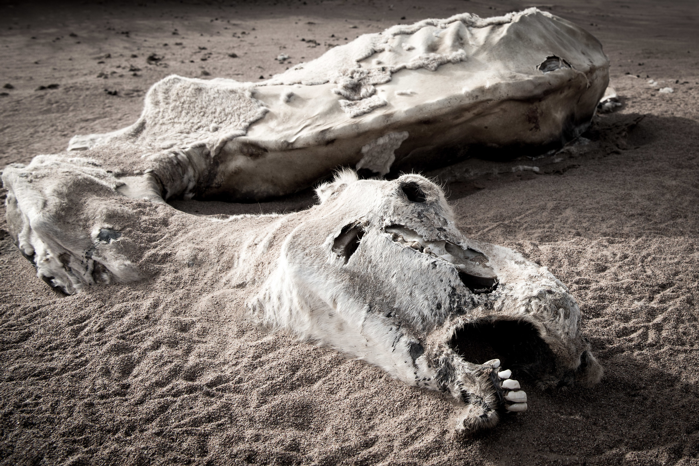 il giorno è arrivato!