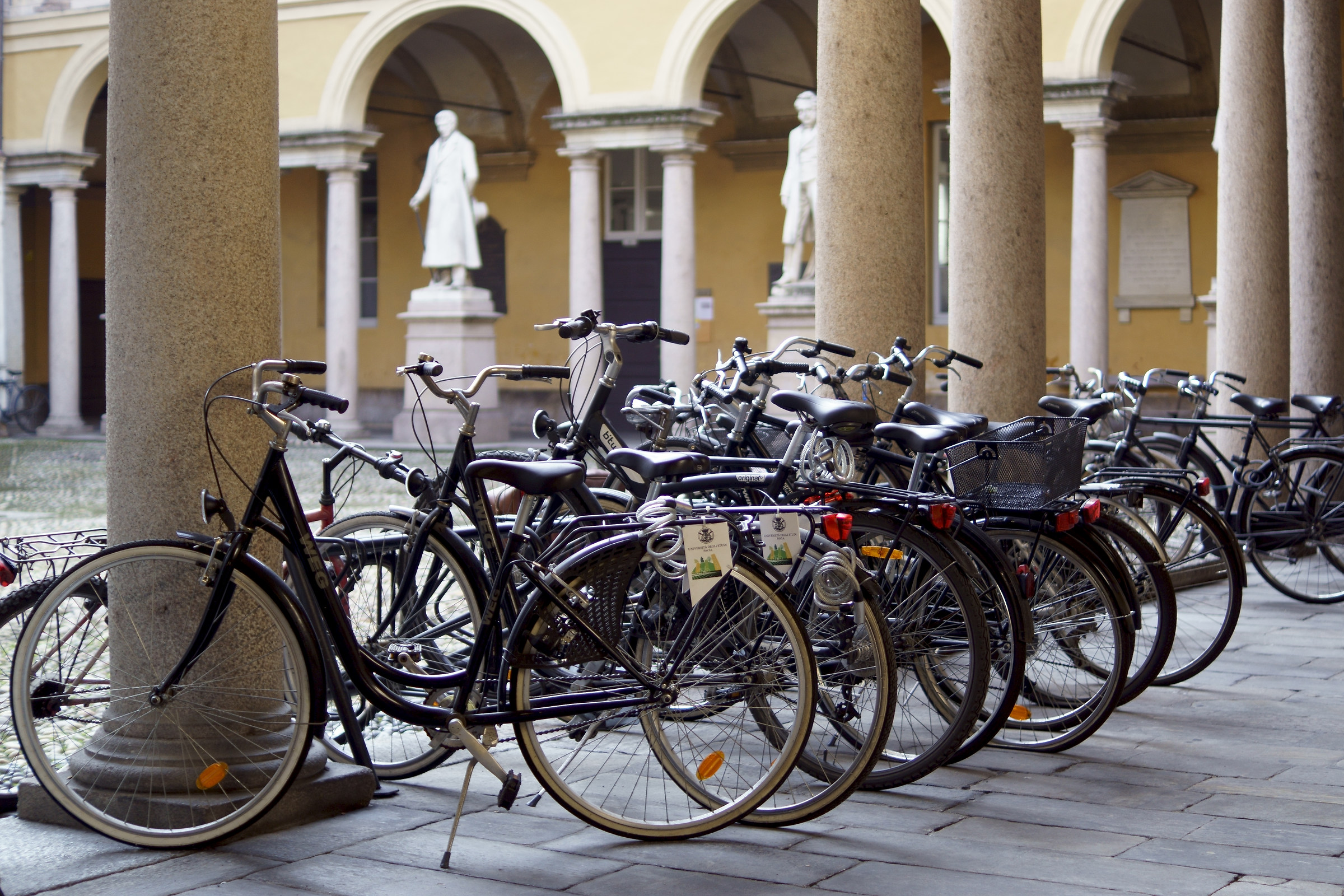 The Ferraris of the university students