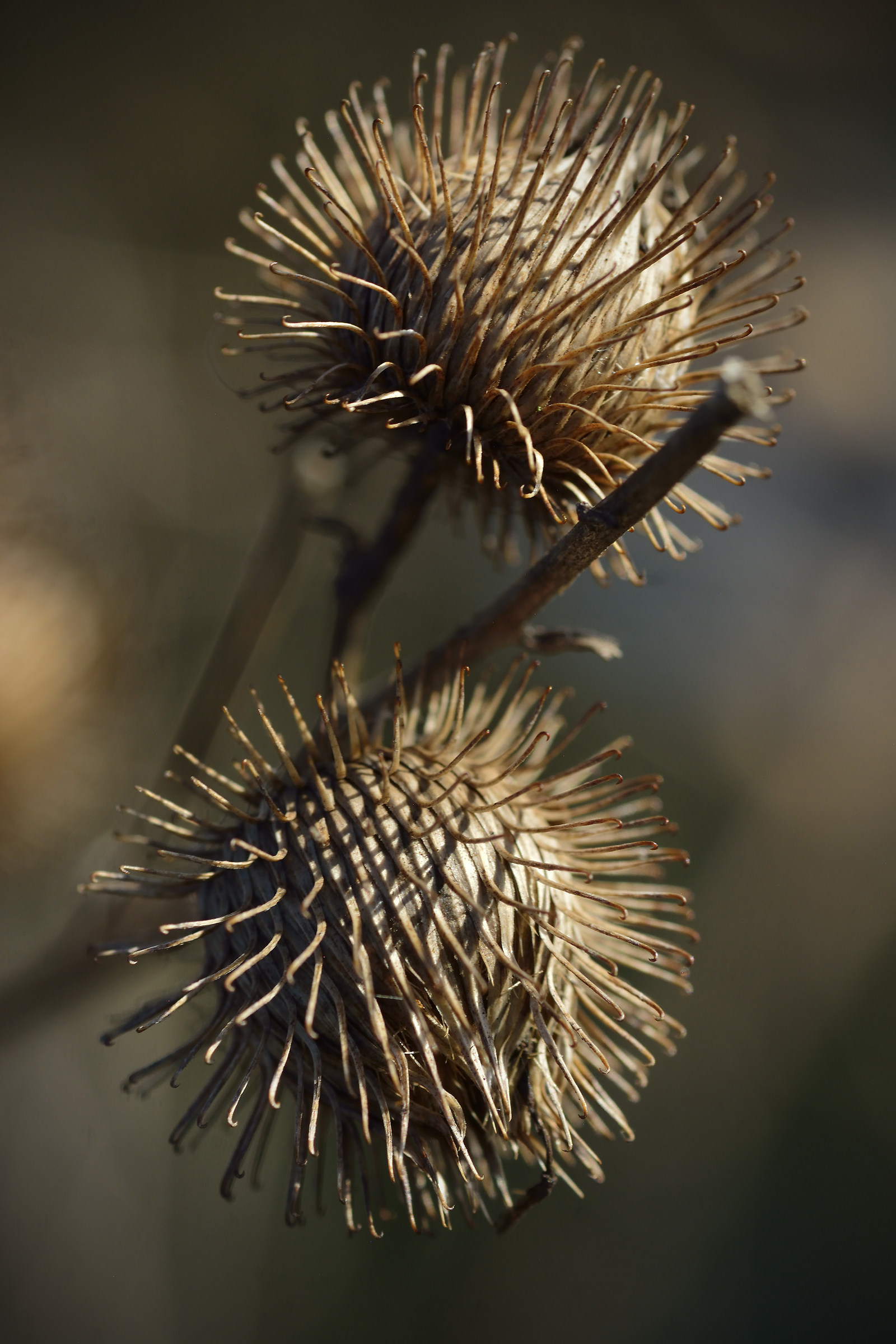 In the Cold February Sunshine, By the River