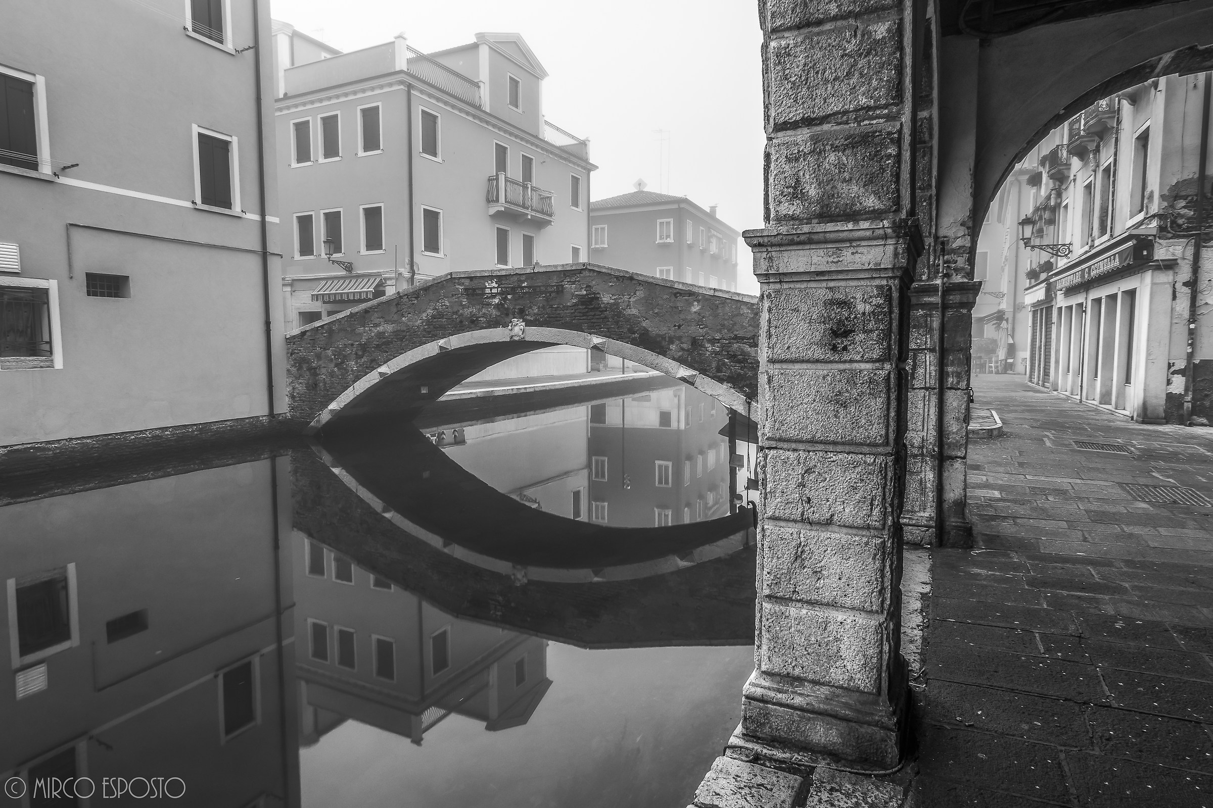 Chioggia B / N