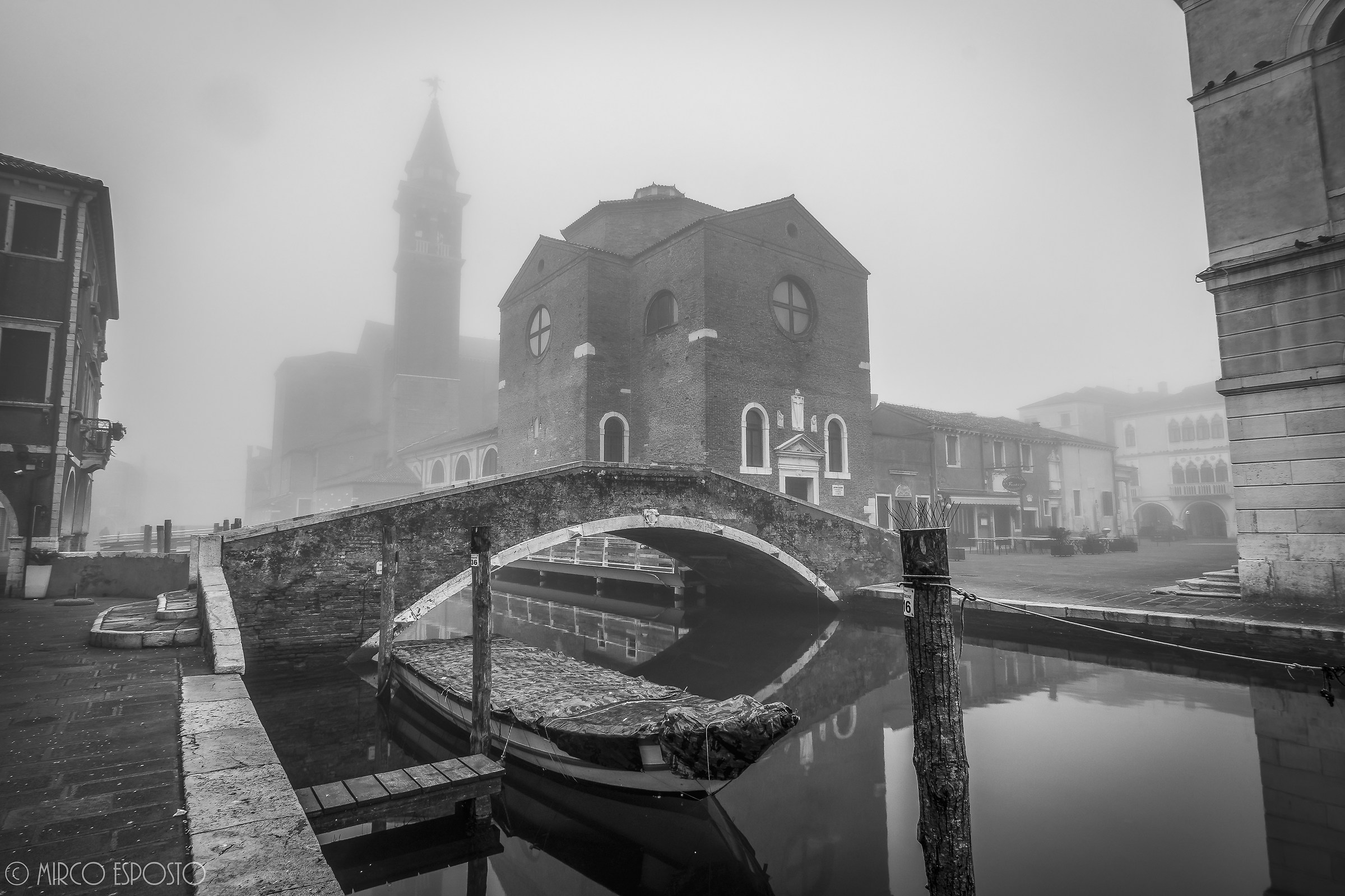 Chioggia B / N