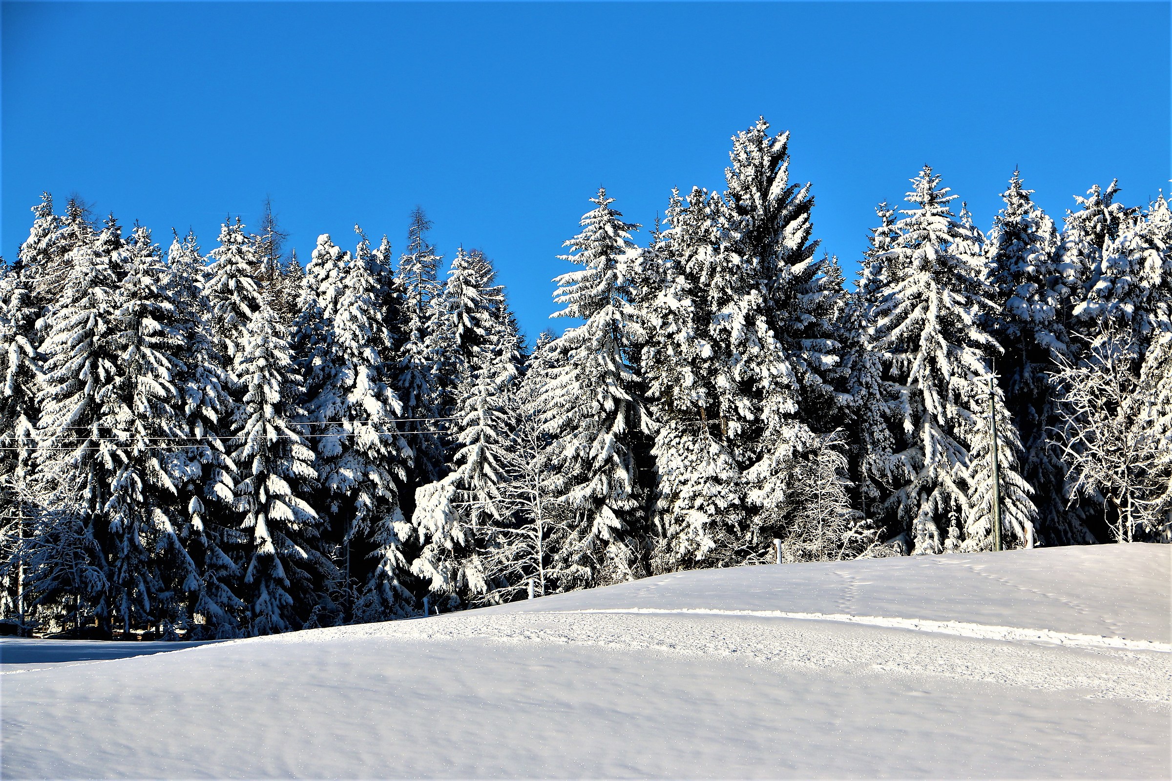 Soffice...soffice...neve...- 3 -