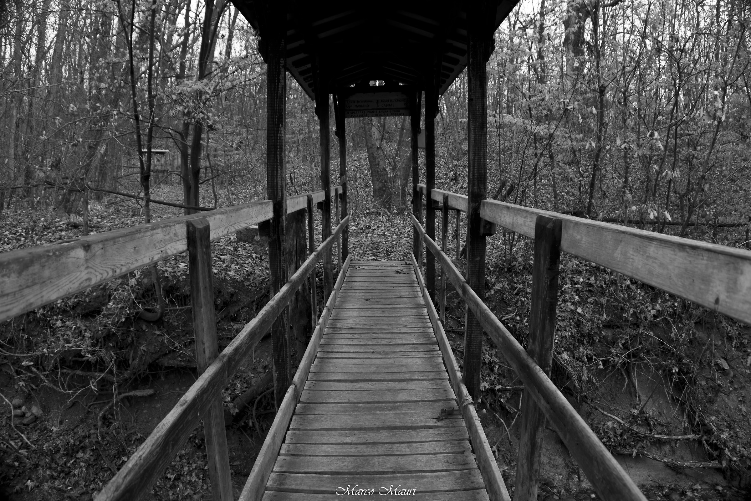 Ponticelli della brughiera